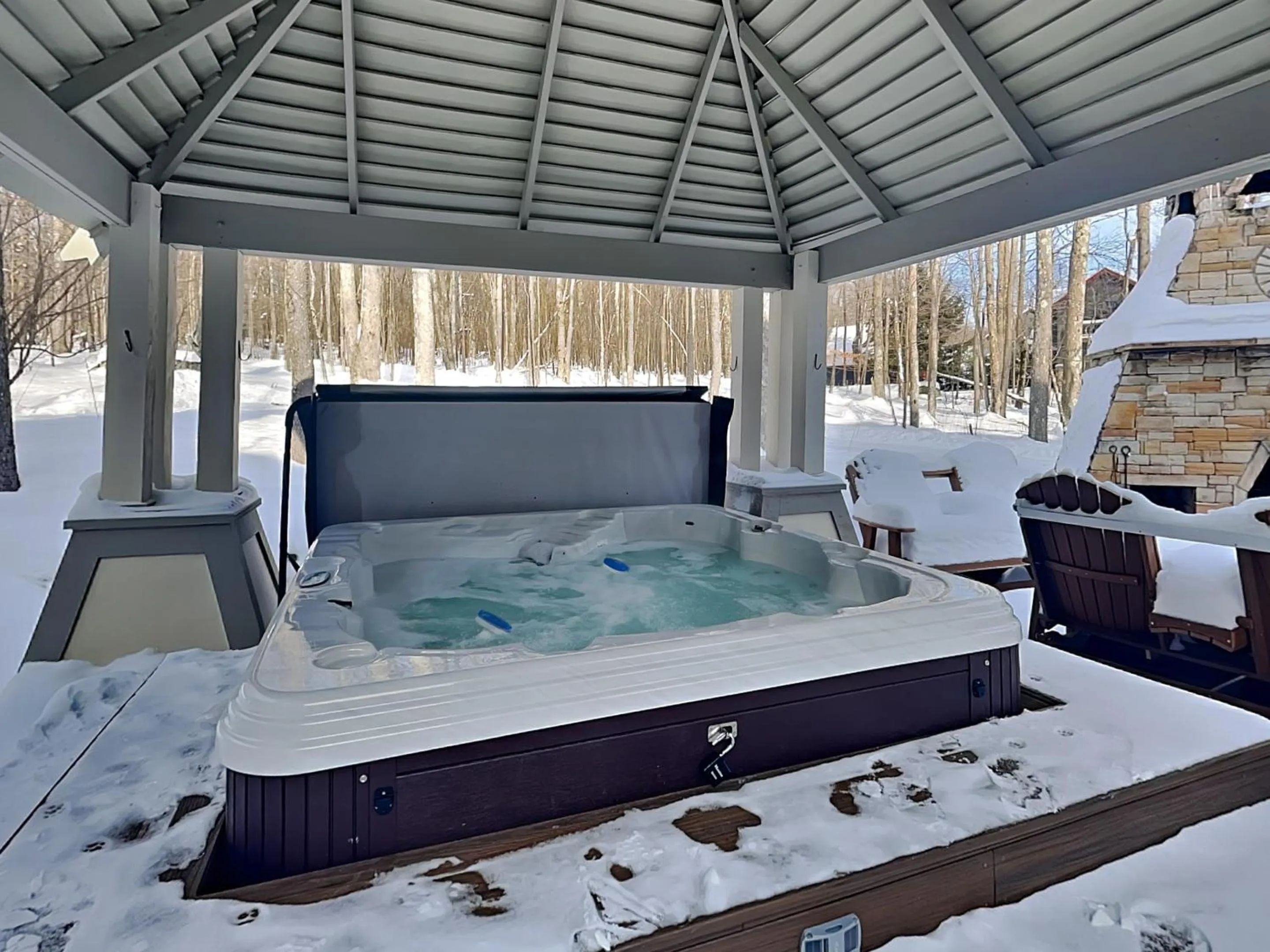 Stone Mountain Vista