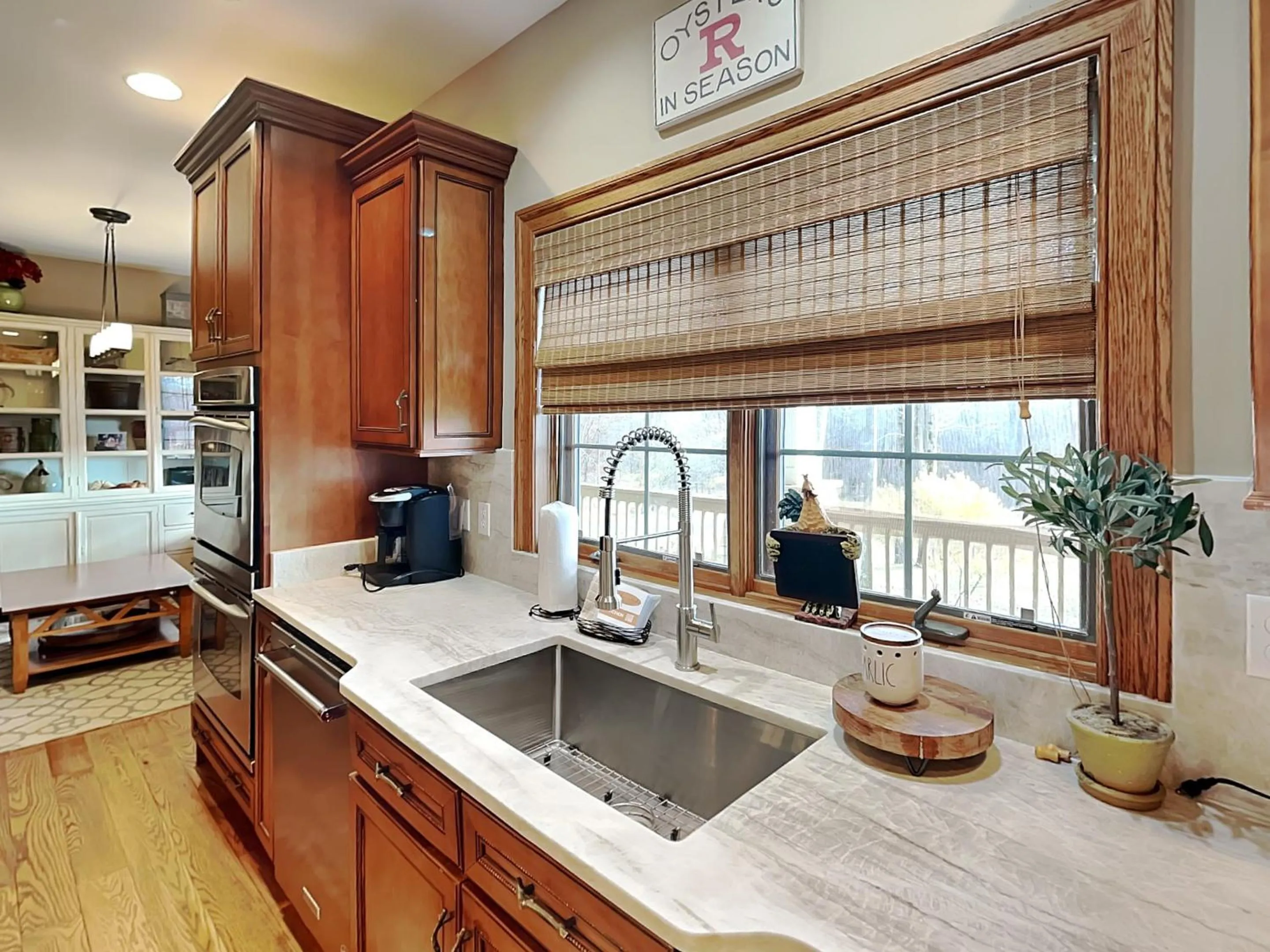 Stone Mountain Vista