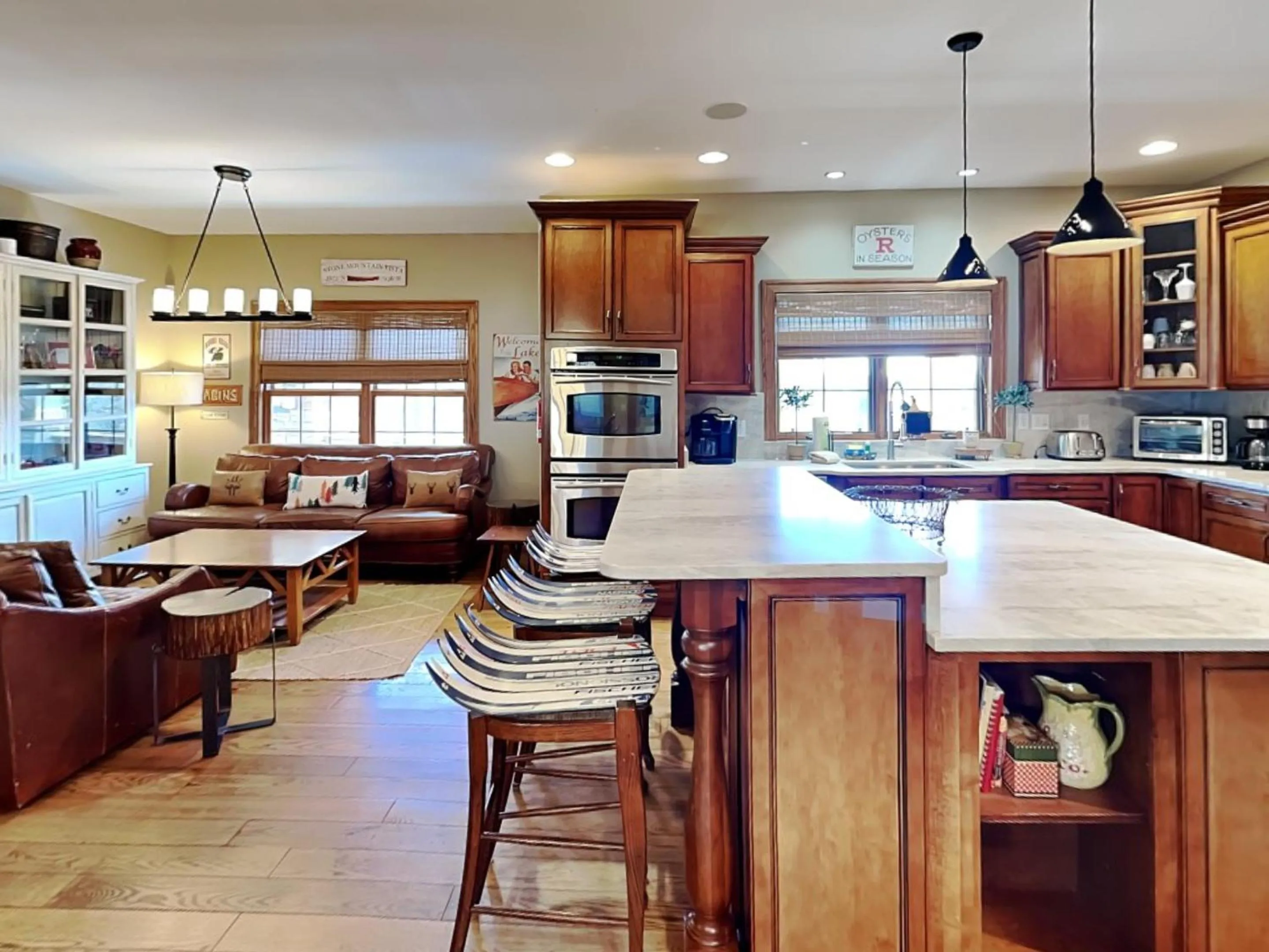 Stone Mountain Vista