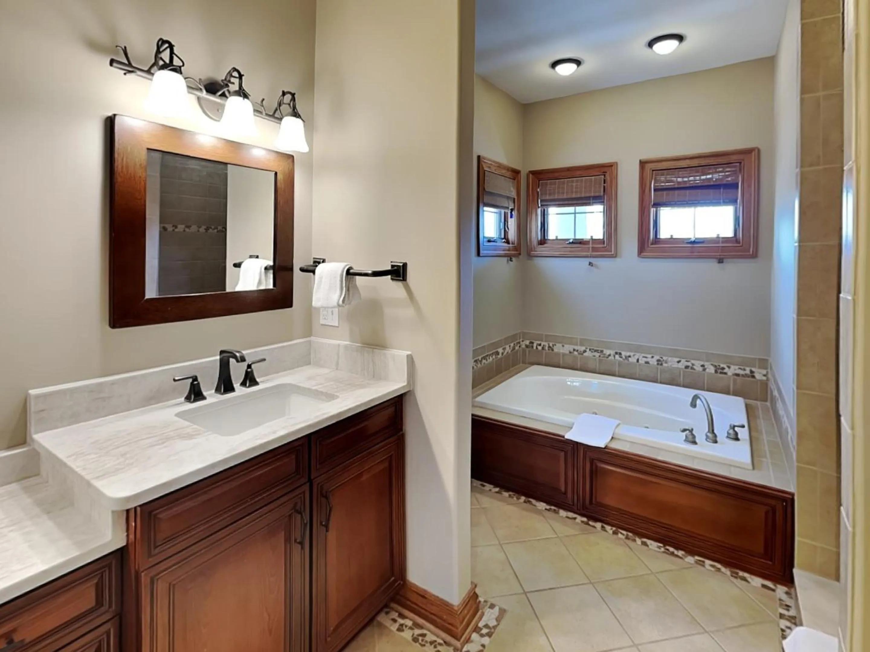 Stone Mountain Vista