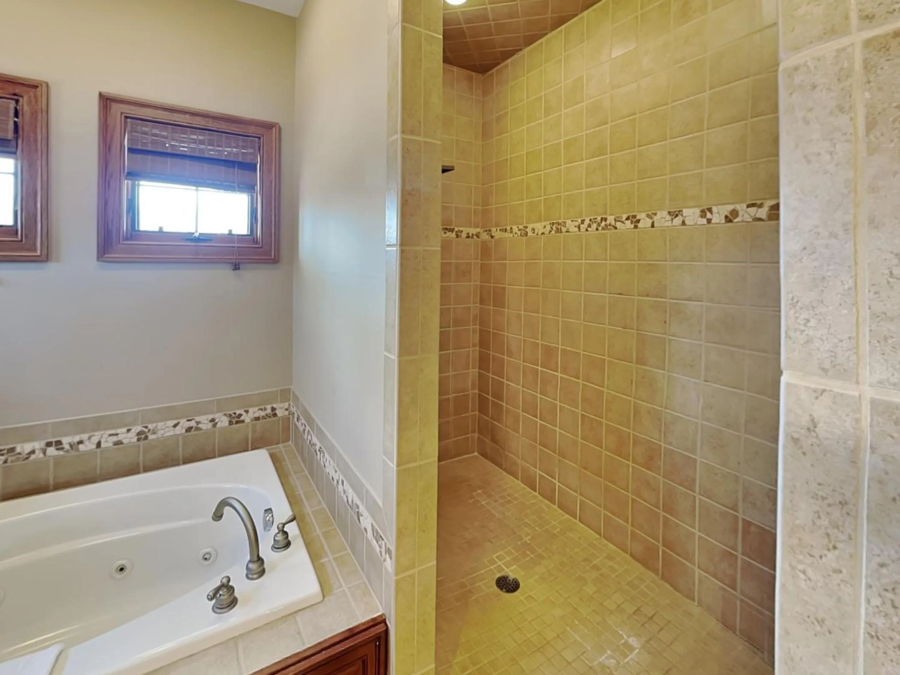 Stone Mountain Vista