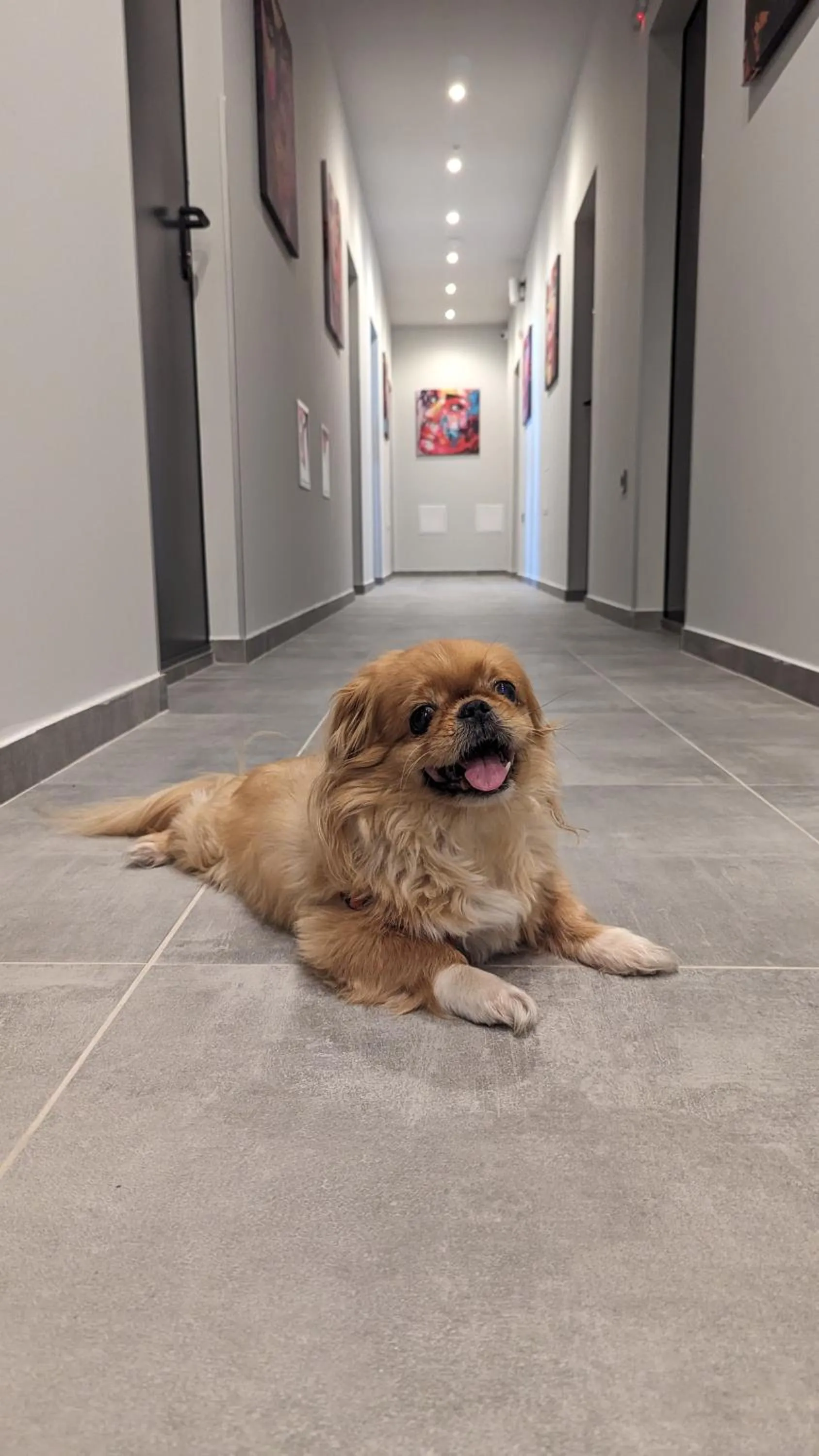 Property building in DORM BG pet-friendly Aparthotel