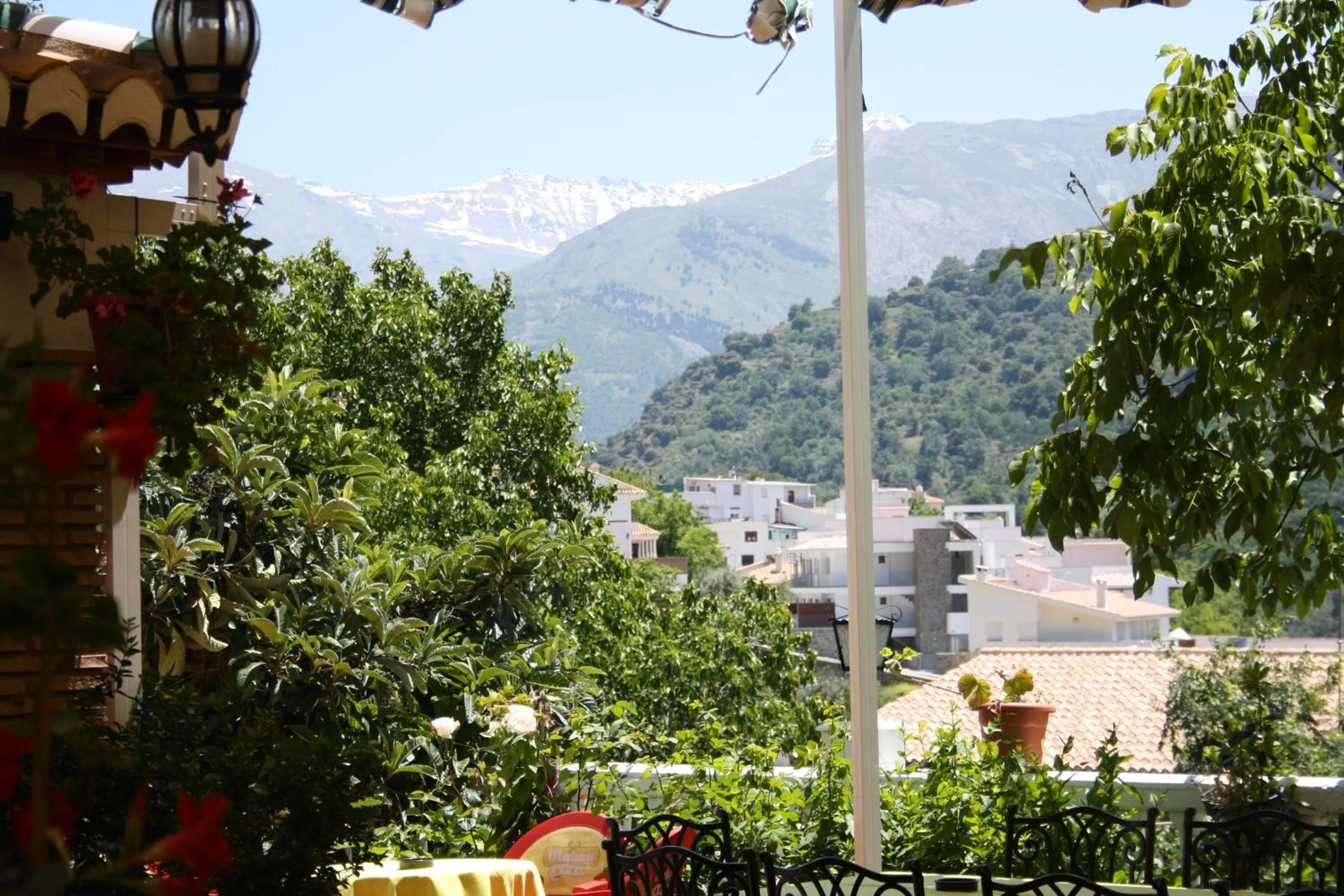 Spring in Hotel Juan Francisco