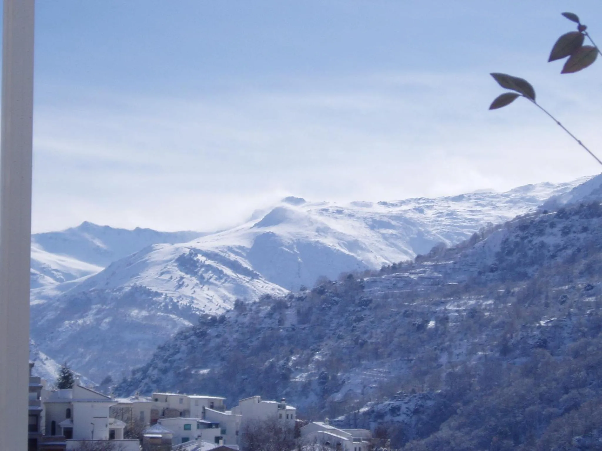 Natural landscape in Hotel Juan Francisco