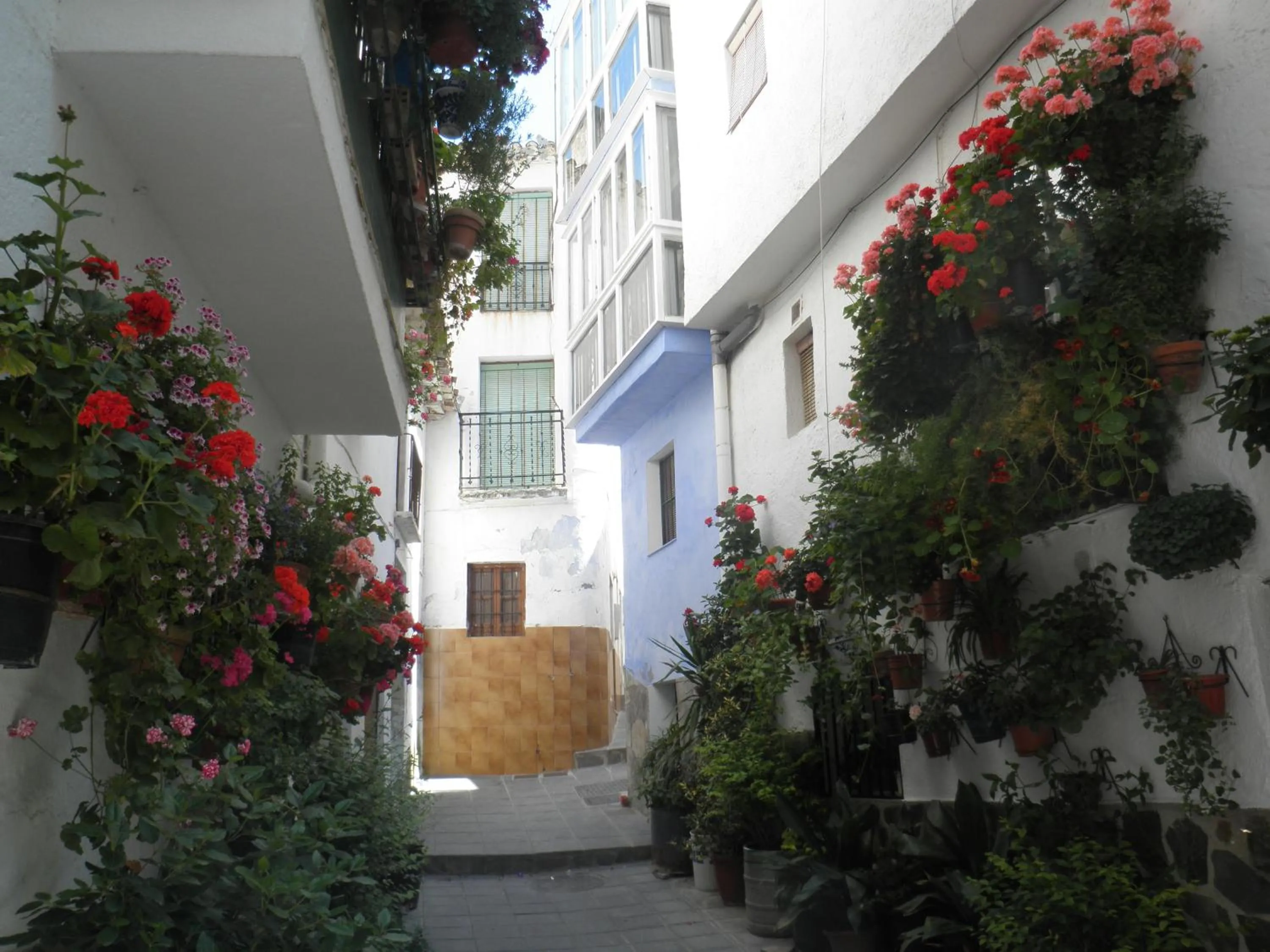 Neighbourhood in Hotel Juan Francisco