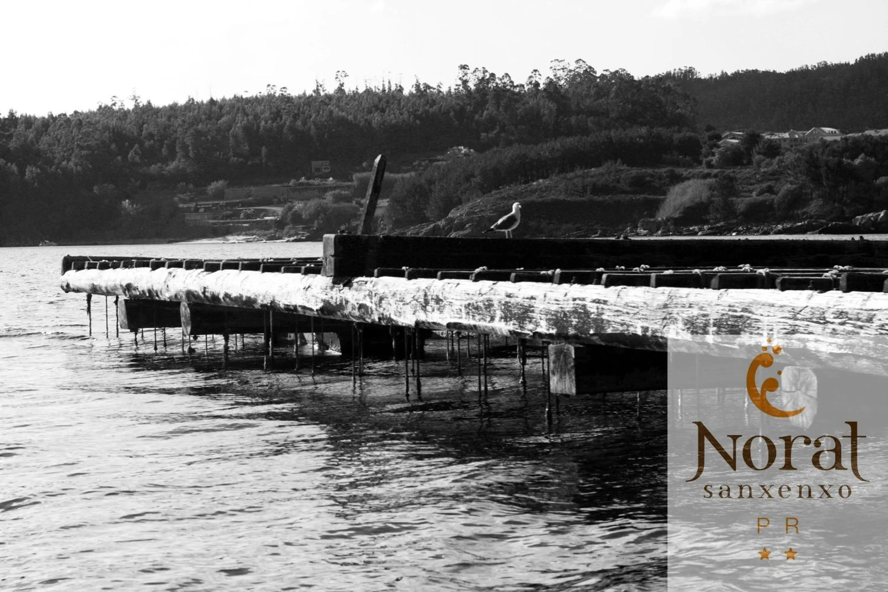 Other in Nuevo Norat Sanxenxo