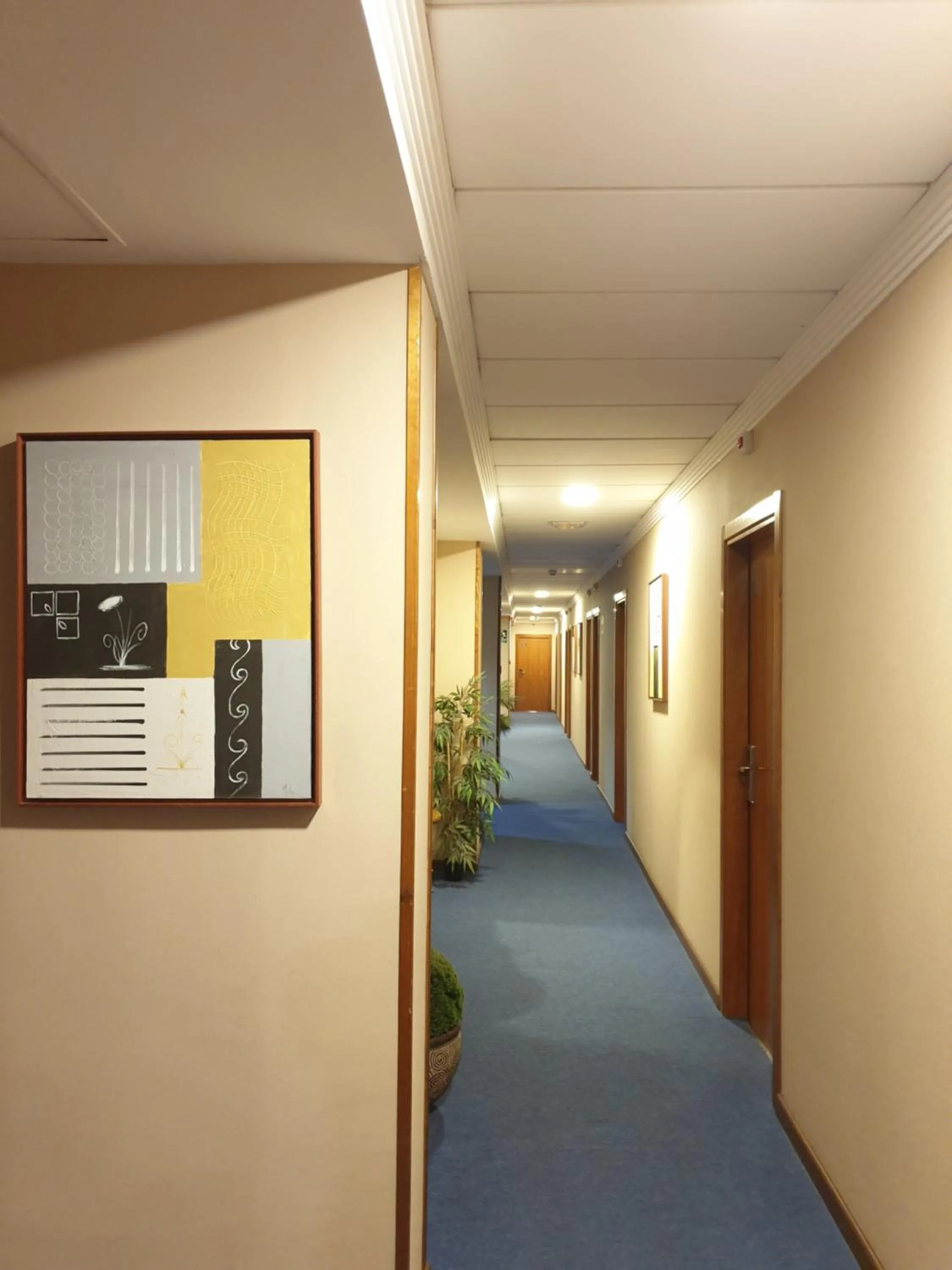 Area and facilities in Hotel Suite Camarena