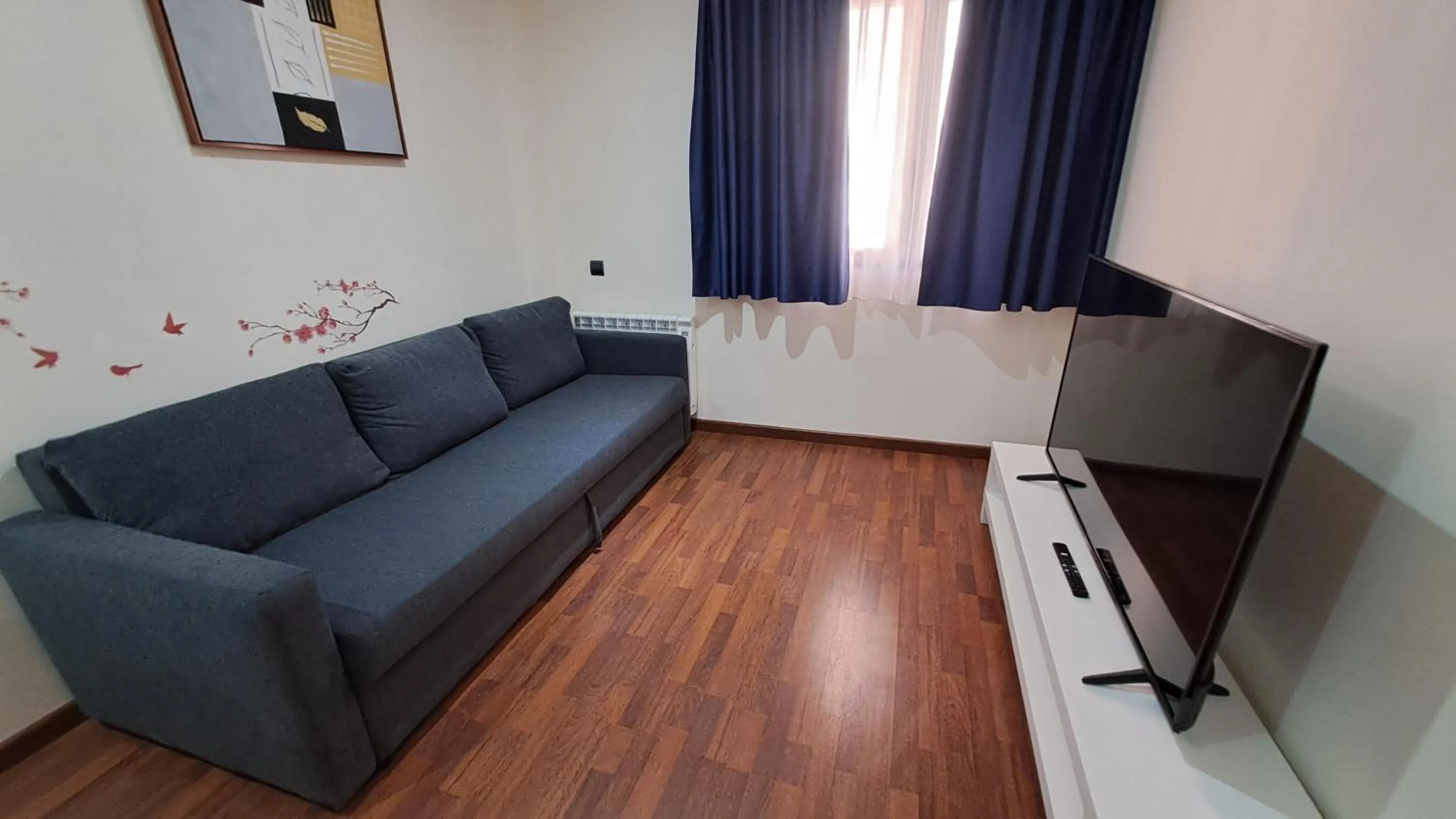 TV and multimedia in Hotel Suite Camarena