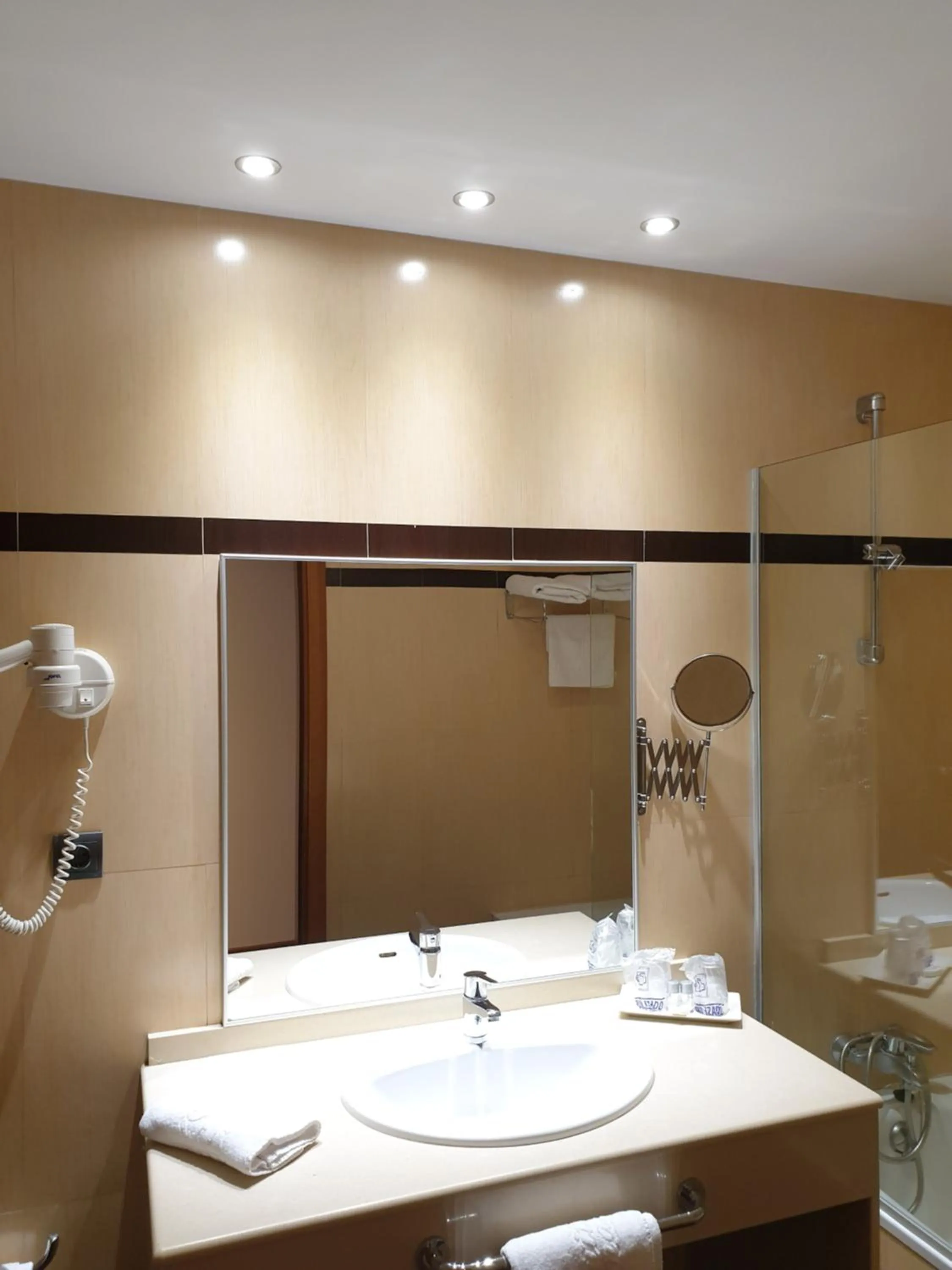 Bathroom in Hotel Suite Camarena