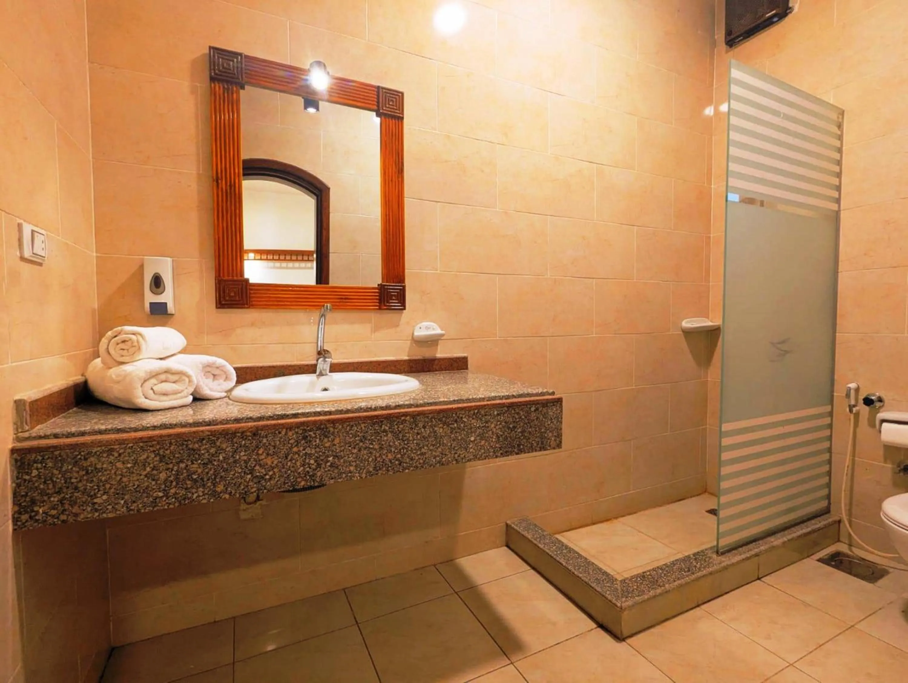 Shower in Mikhaila Guest House