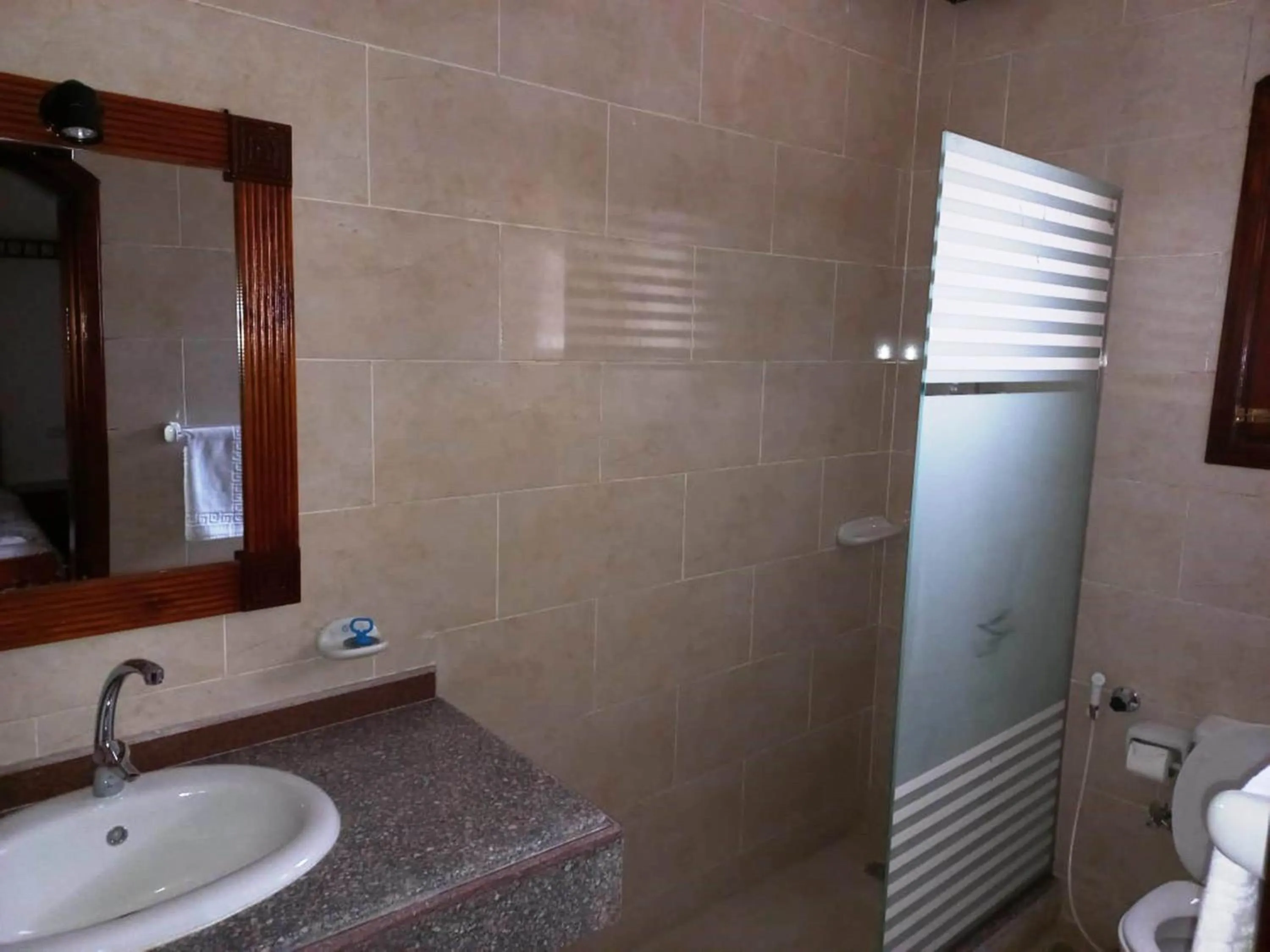 Shower in Mikhaila Guest House