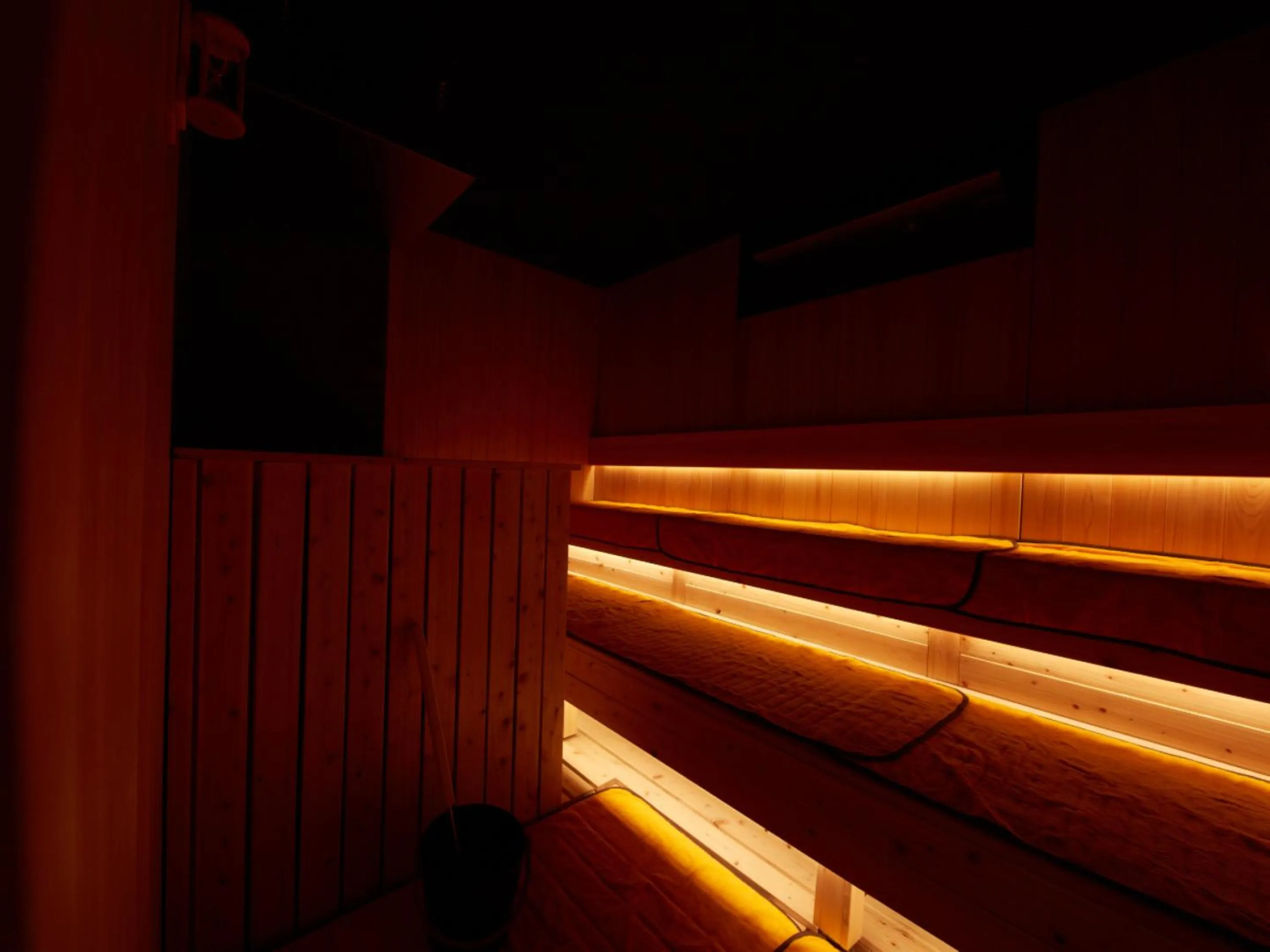 Sauna in Rembrandt Cabin & Spa Shimbashi - Caters to Men