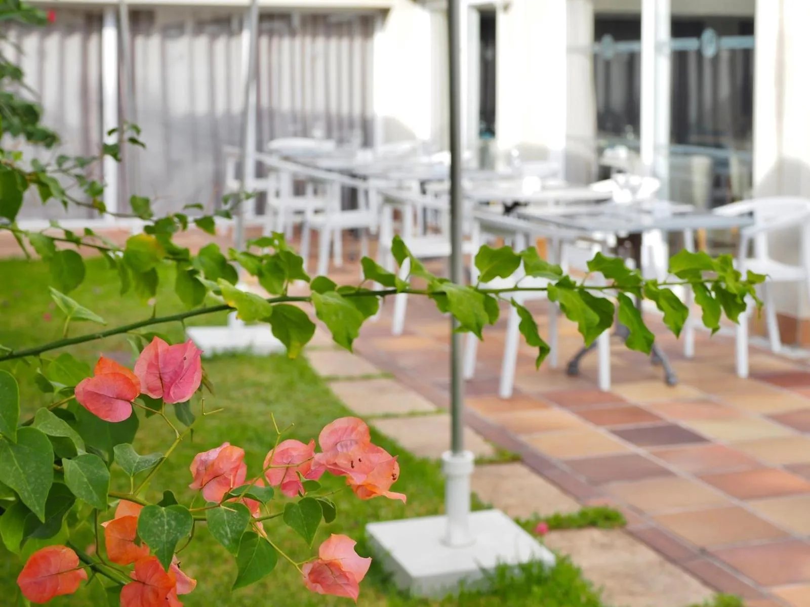 Restaurant/places to eat in BQ Apolo Hotel