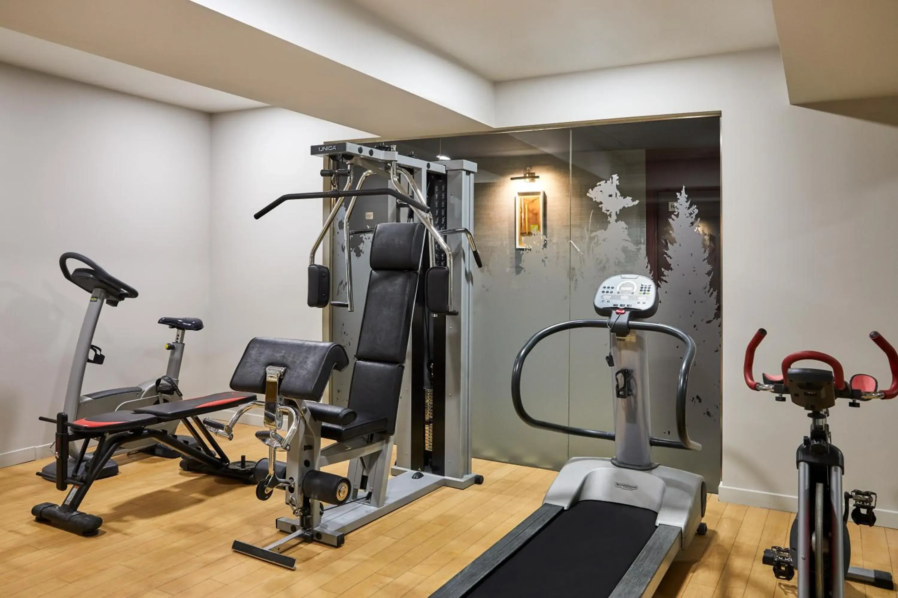 Fitness centre/facilities in Hotel Indigo Madrid - Princesa by IHG Fitness centre/facilities in Hotel Indigo Madrid - Princesa by IHG