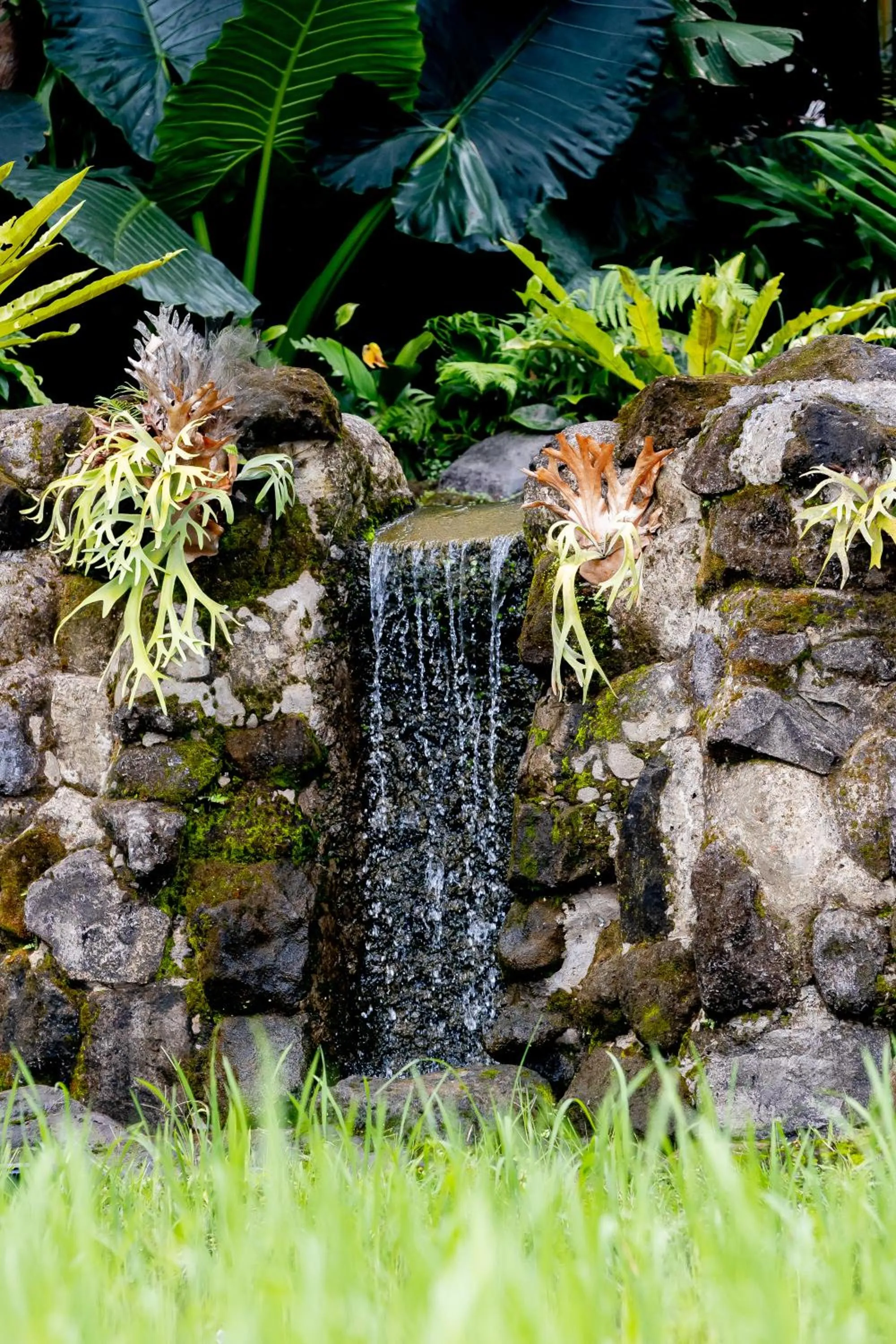 View (from property/room) in Anumana Village Ubud