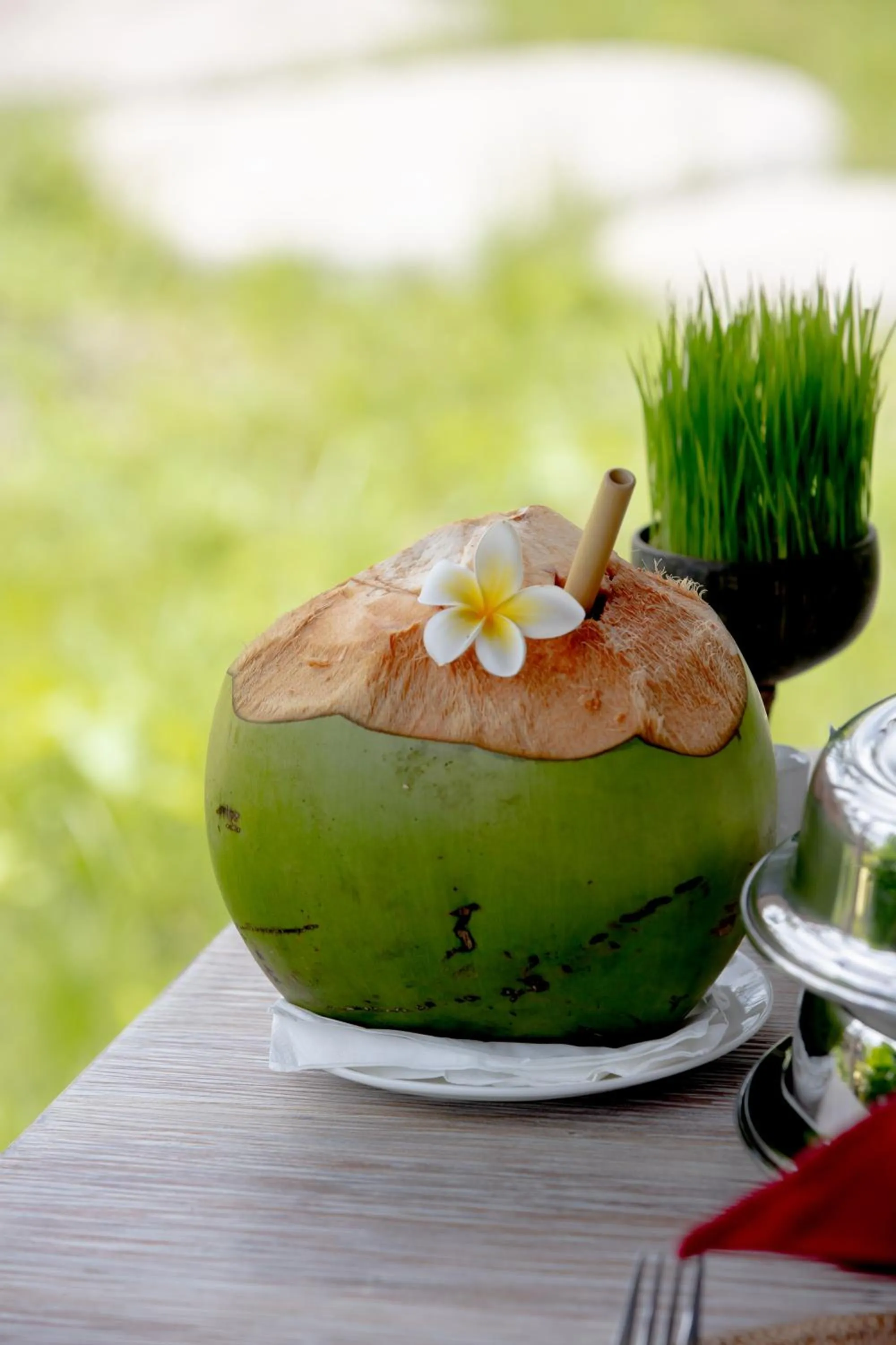 Drinks in Anumana Village Ubud