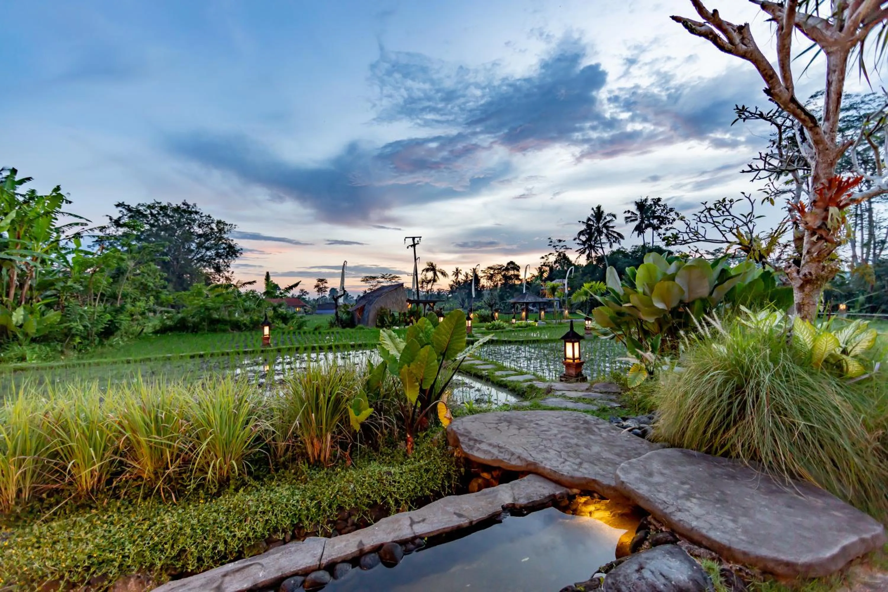 View (from property/room) in Anumana Village Ubud