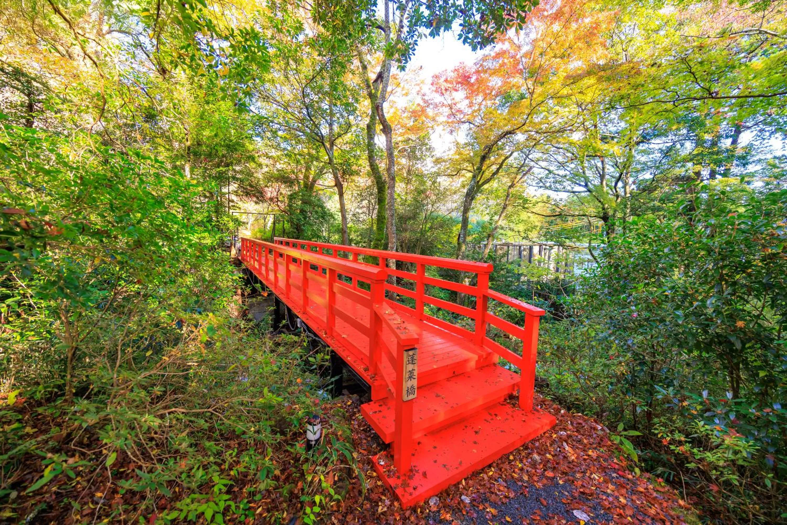 Natural landscape in Hakone Kowakien Hotel