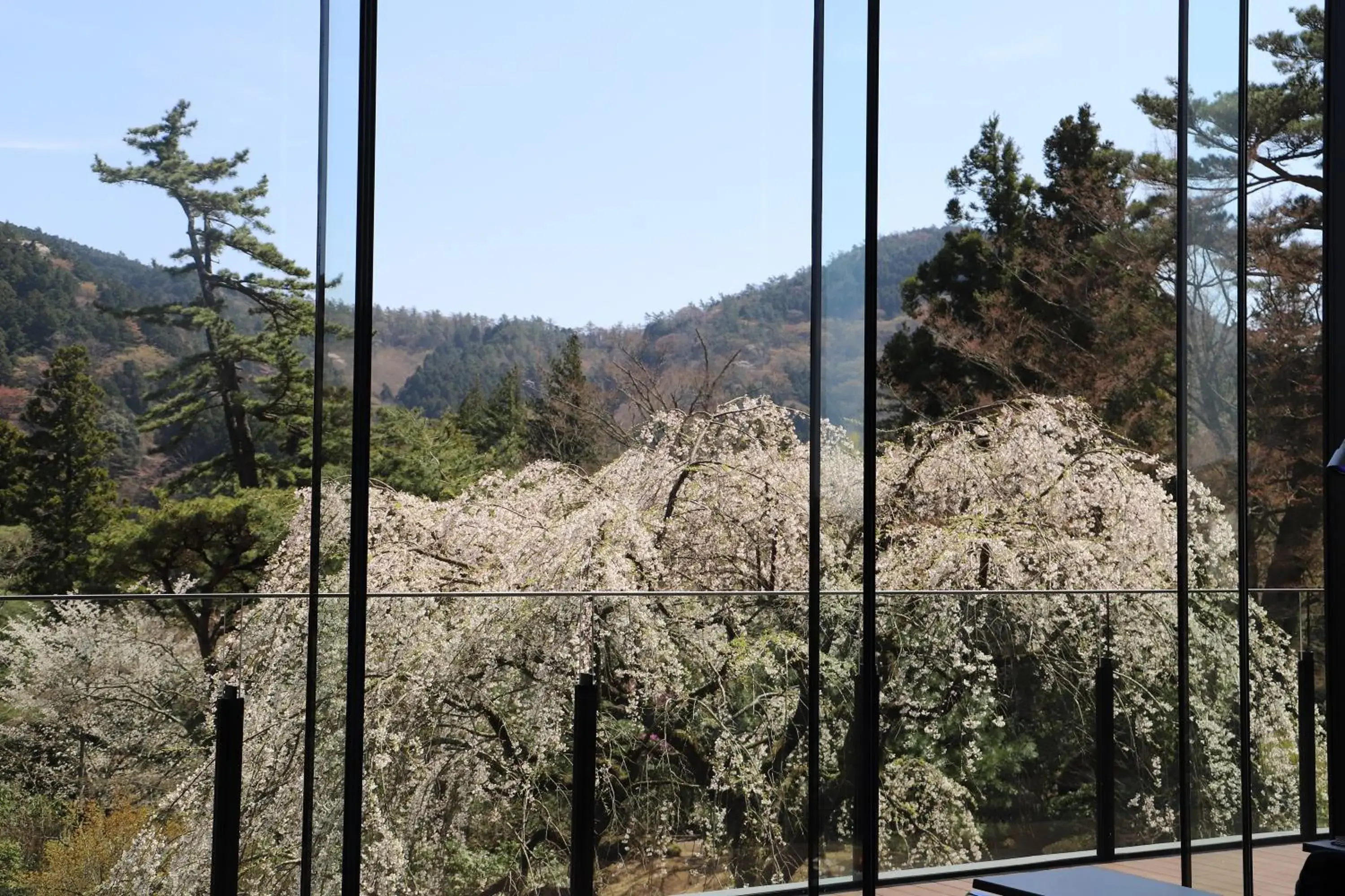 Garden view in Hakone Kowakien Hotel Garden view in Hakone Kowakien Hotel