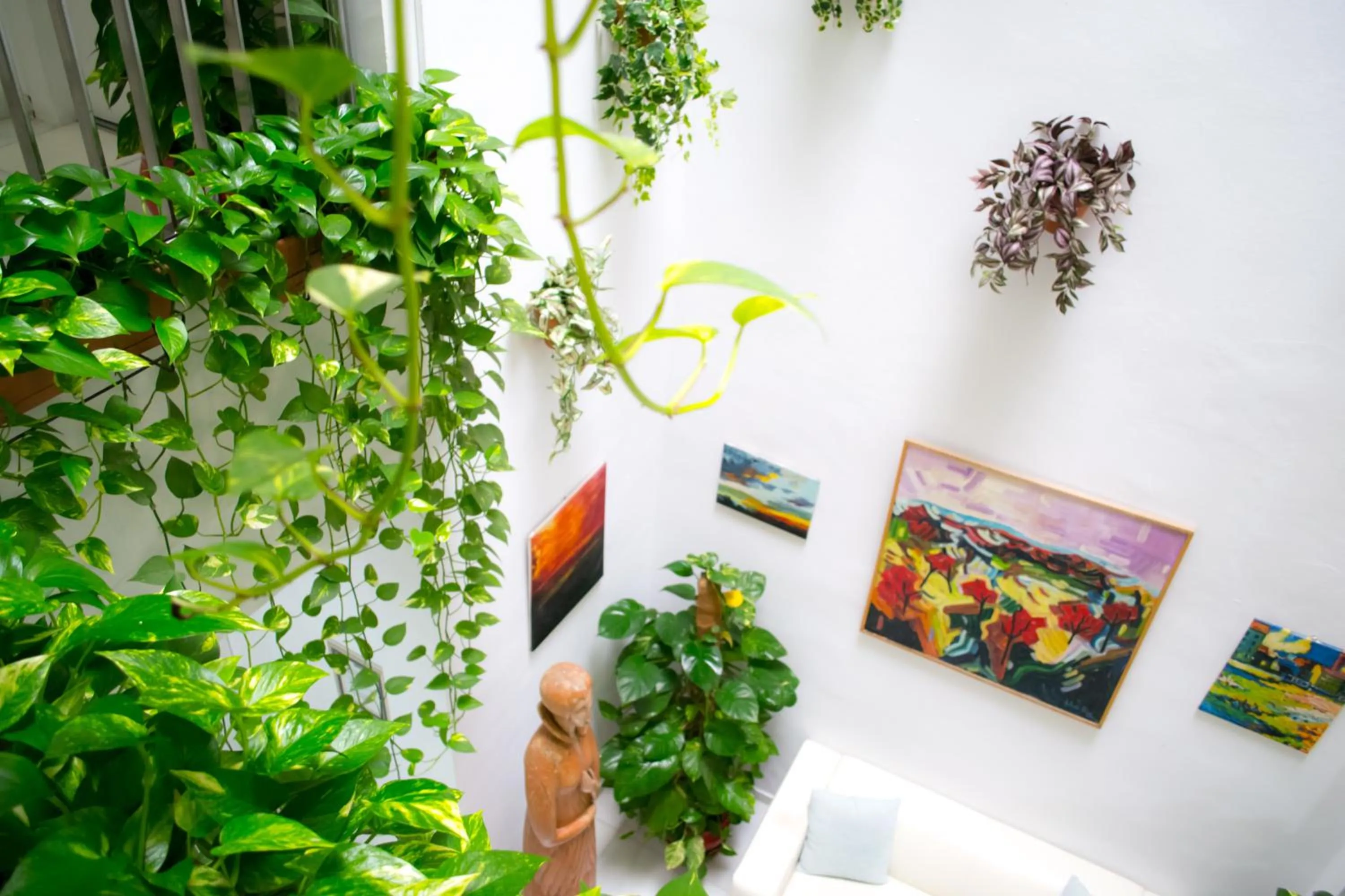 Inner courtyard view in Un Patio en Santa Cruz