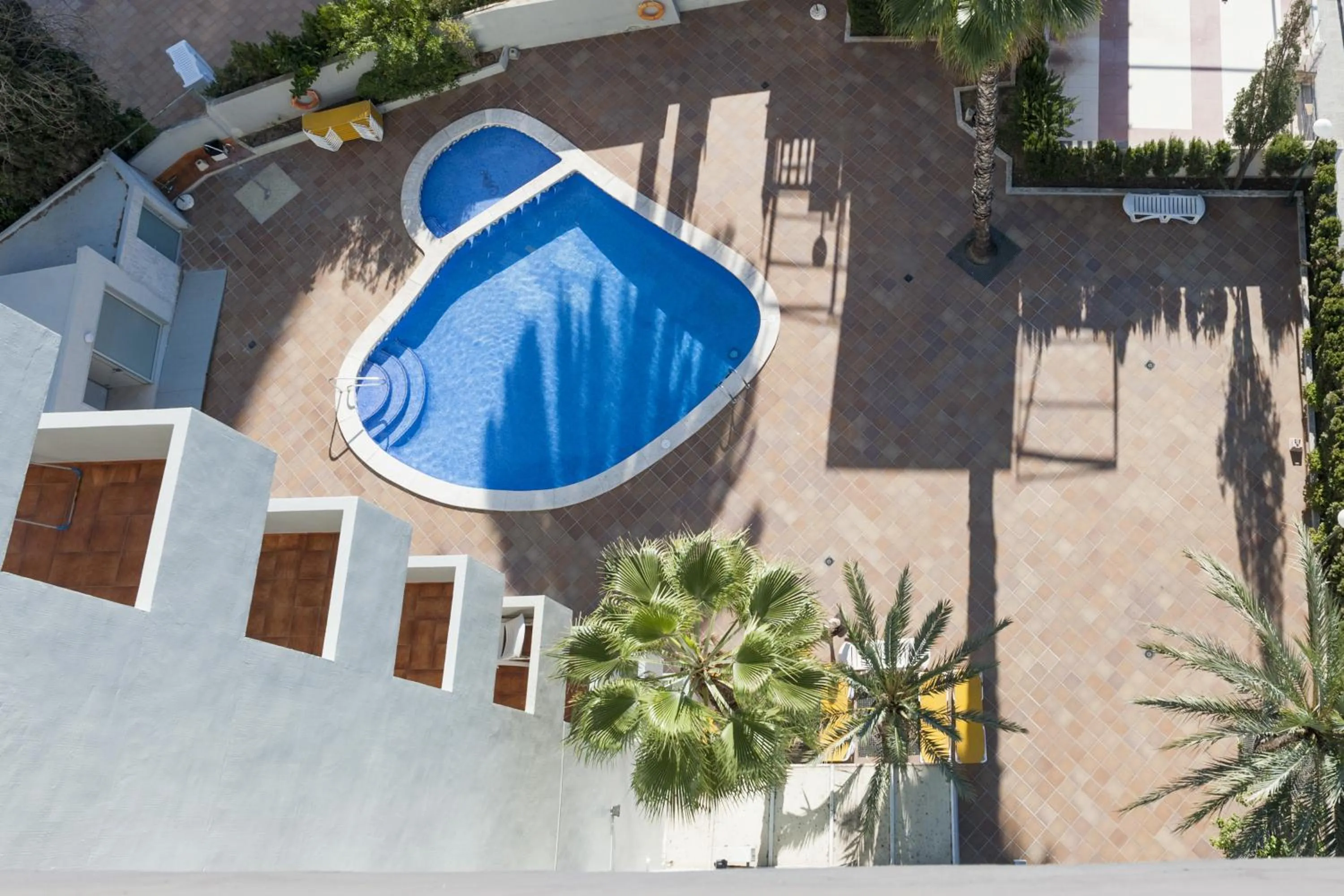 Swimming pool in Apartamentos Michel Angelo Benidorm