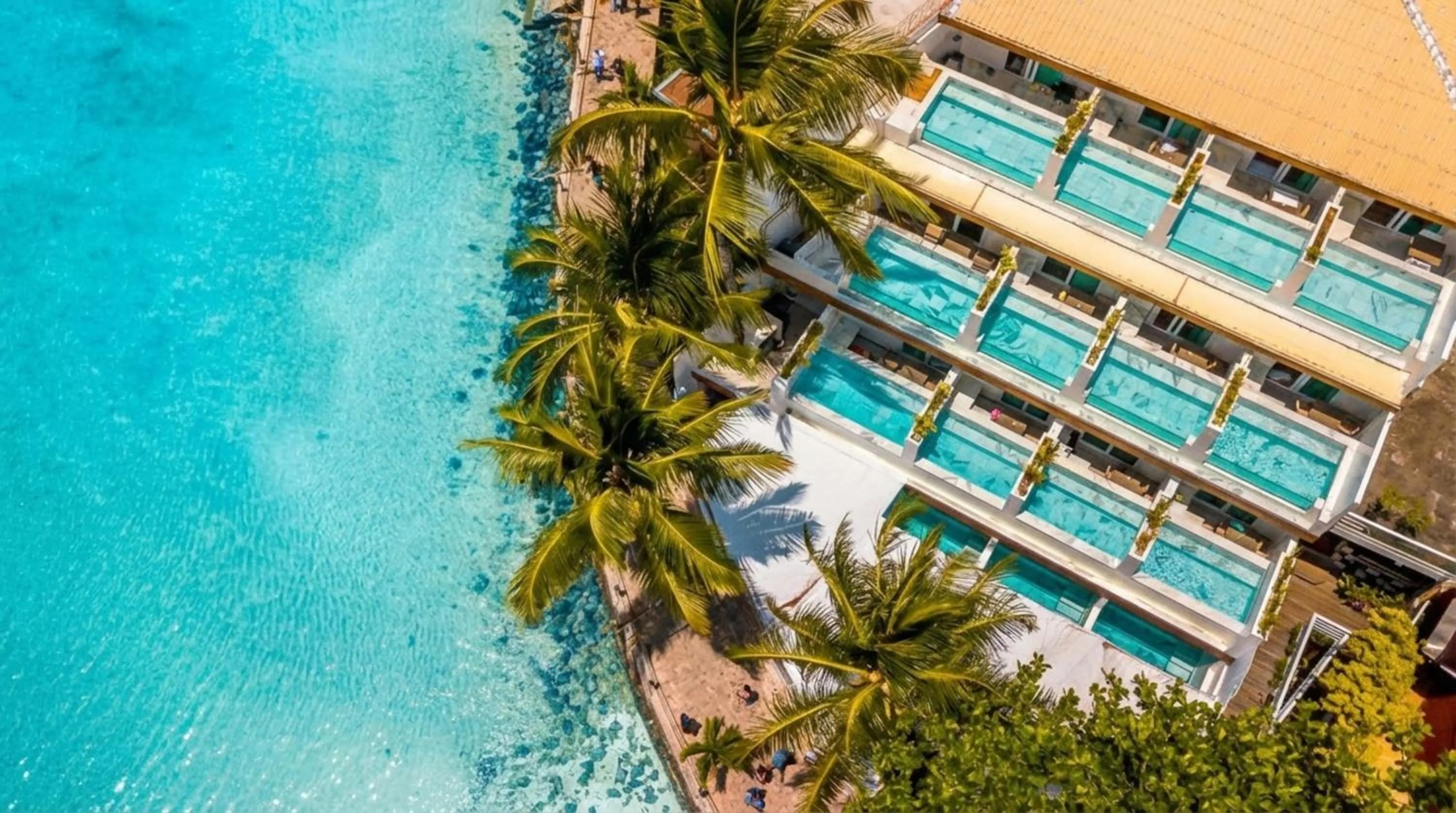 Bird's eye view in Aqua by Sambass