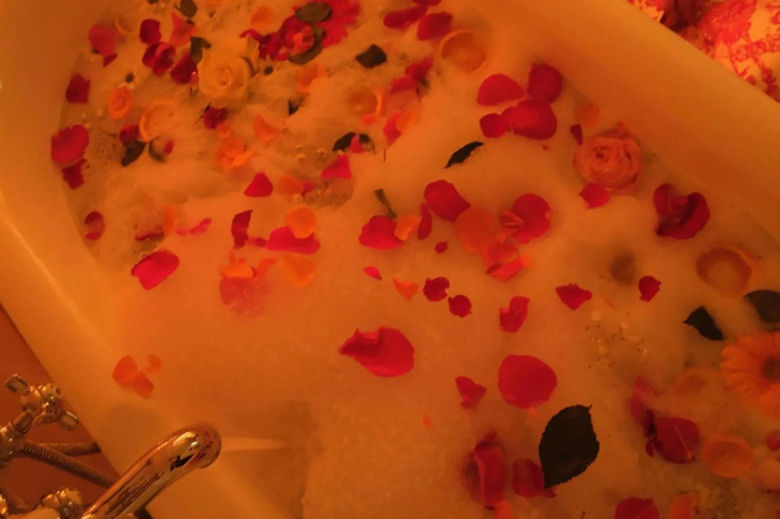 Finca Hotel Rural Es Turó Spa