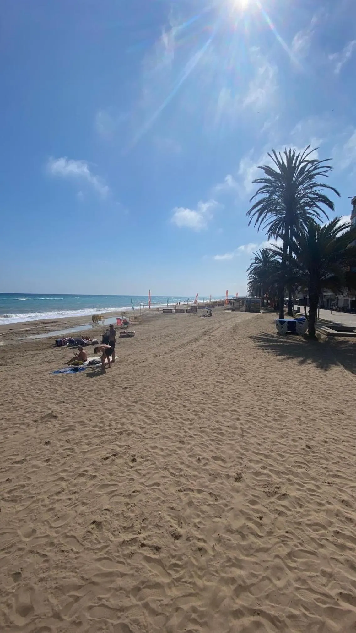 Beach in Hotel Apartamentos Solimar