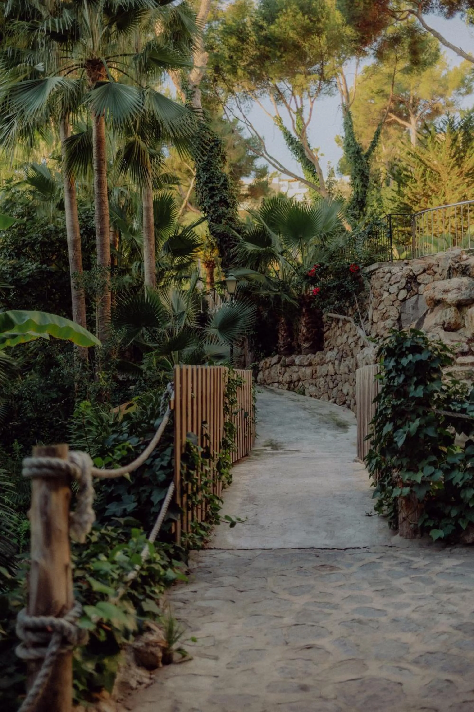 Garden in Hotel Bon Sol Resort & Spa