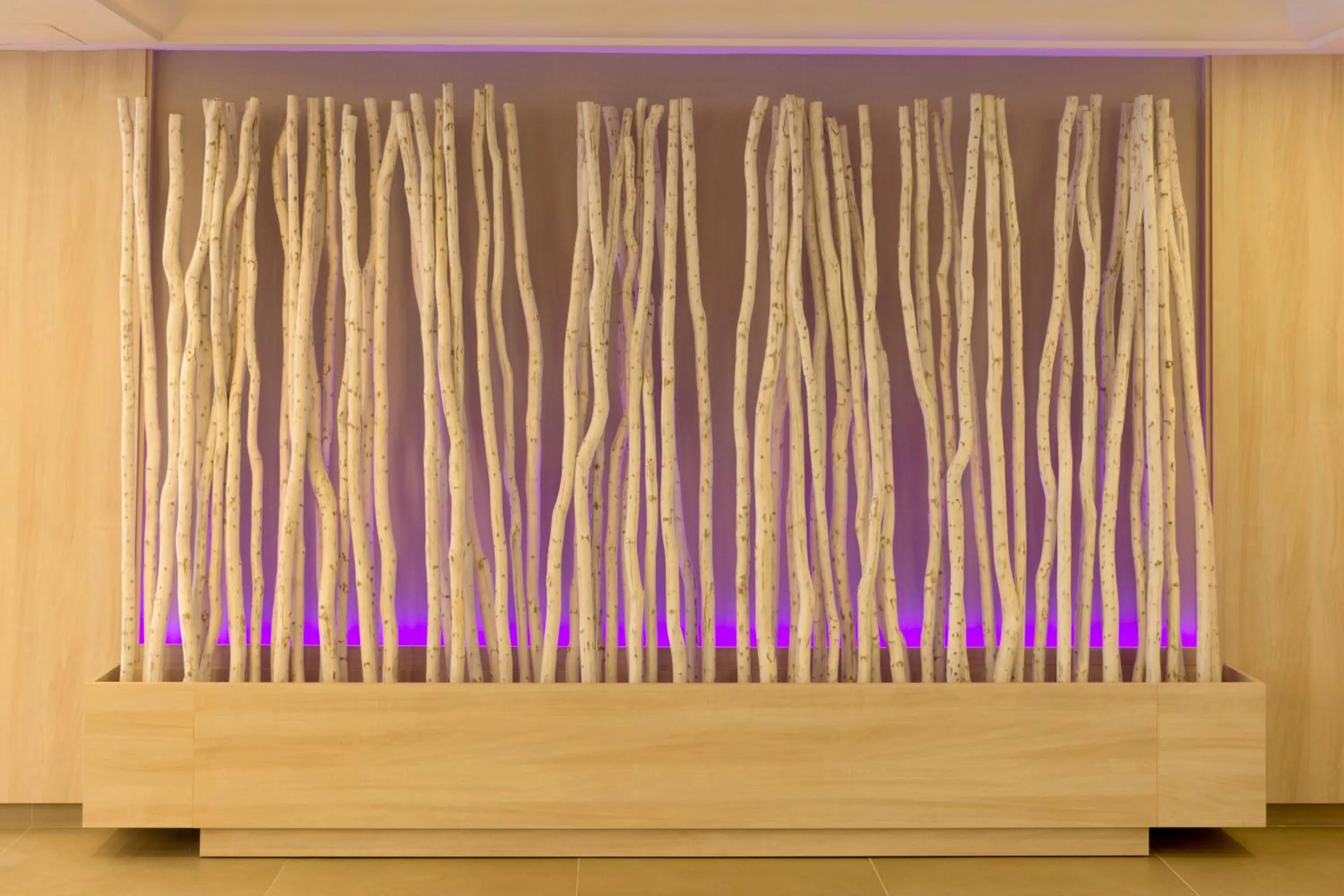 Lounge or bar in HSM Don Juan