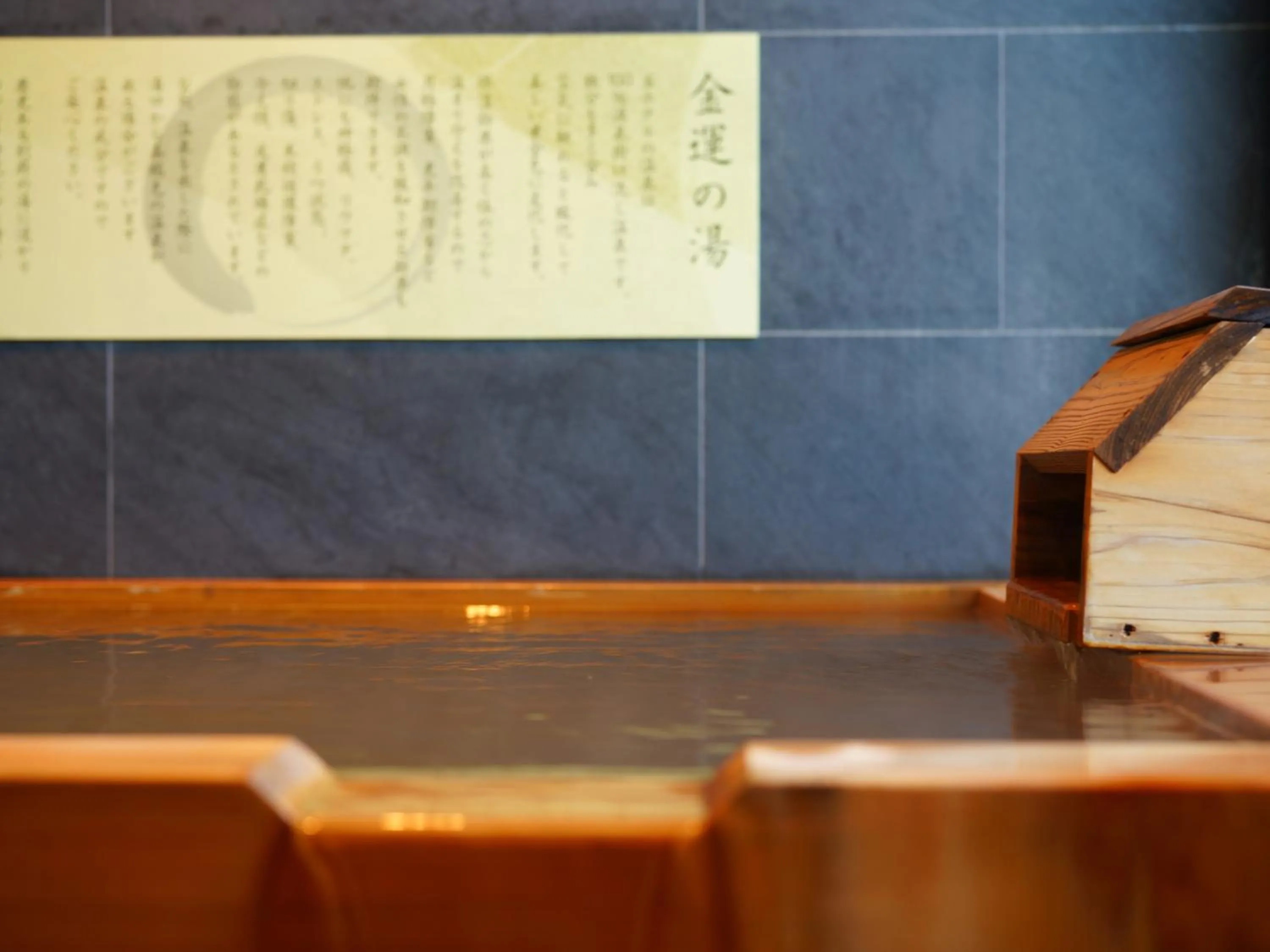 Hot Spring Bath in MURE Beppu