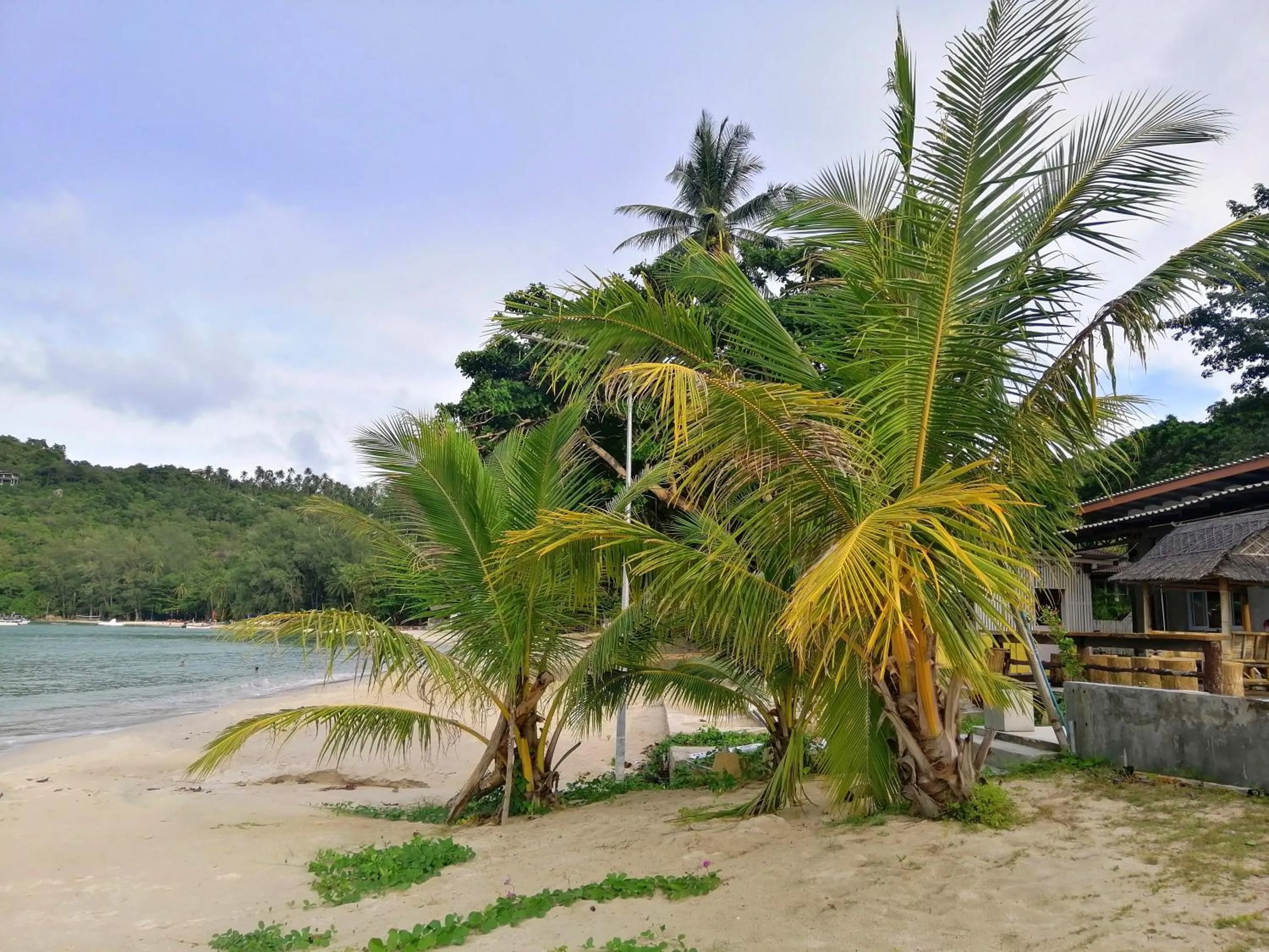 Natural landscape in Thong Nai Pan Beach Resort