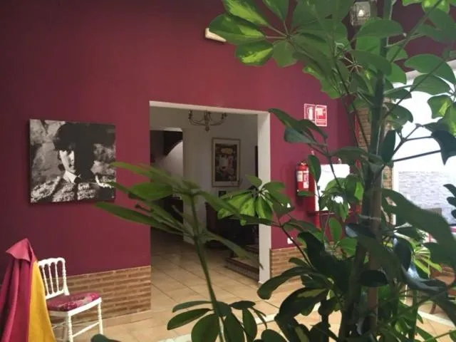 Area and facilities in Hotel Andalou