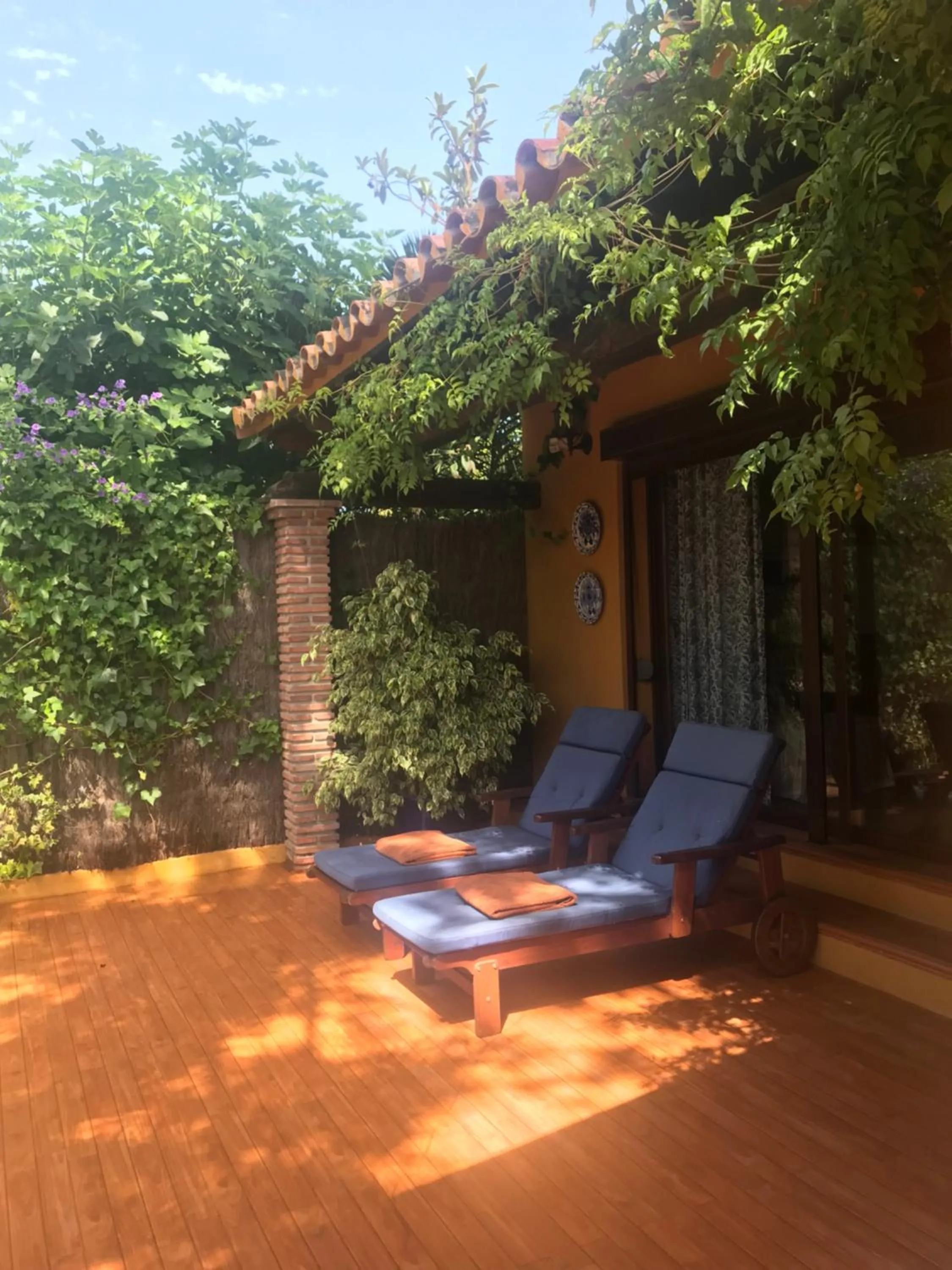 Garden in Family hotel Al- Ana Marbella