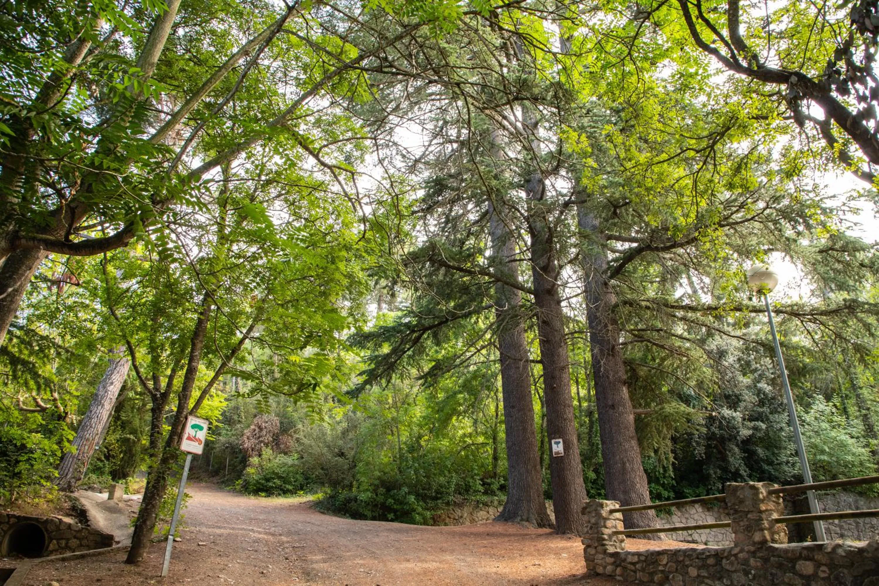 Natural landscape in Hotel Rural y Apartamentos Villa Engracia