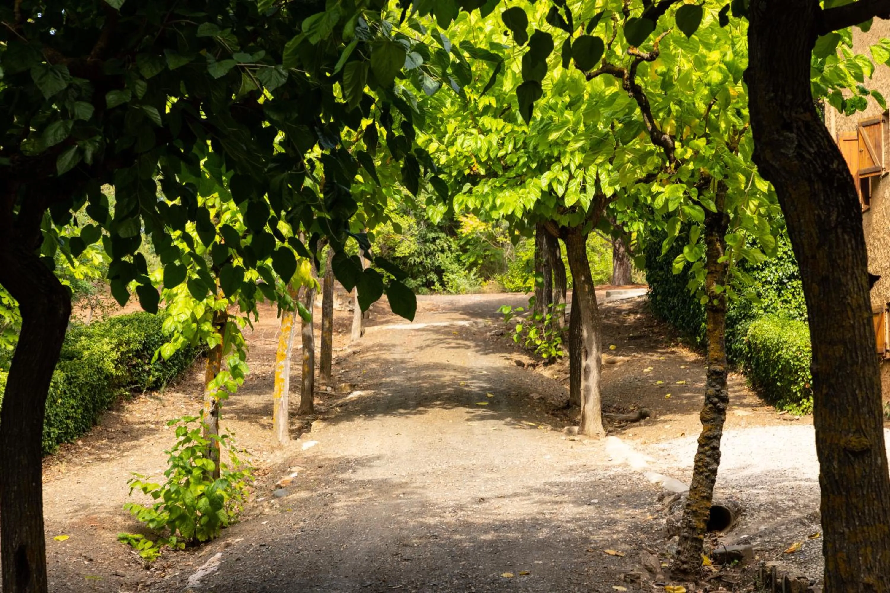 Garden in Hotel Rural y Apartamentos Villa Engracia