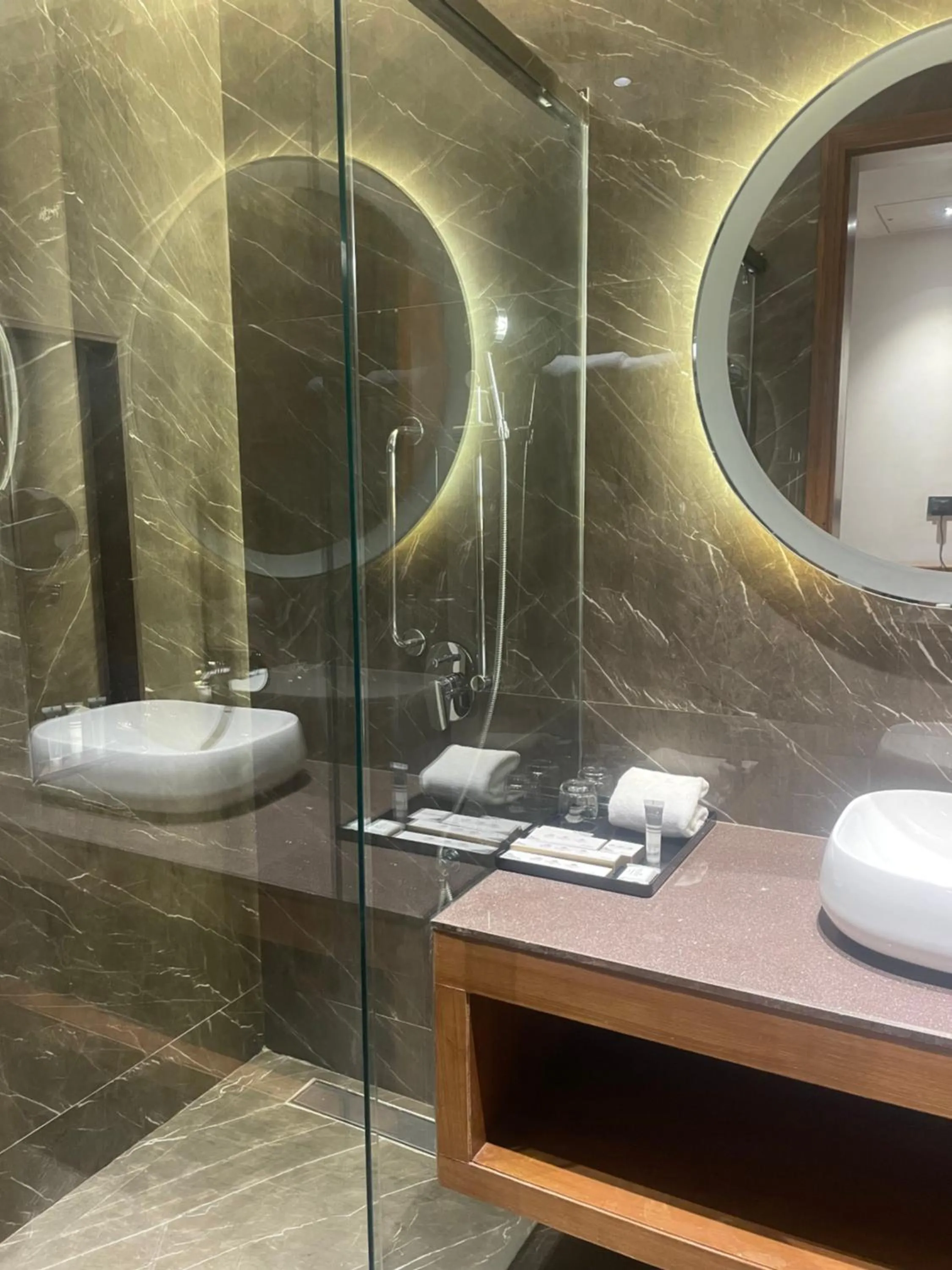 Bathroom in Sayaji Morbi