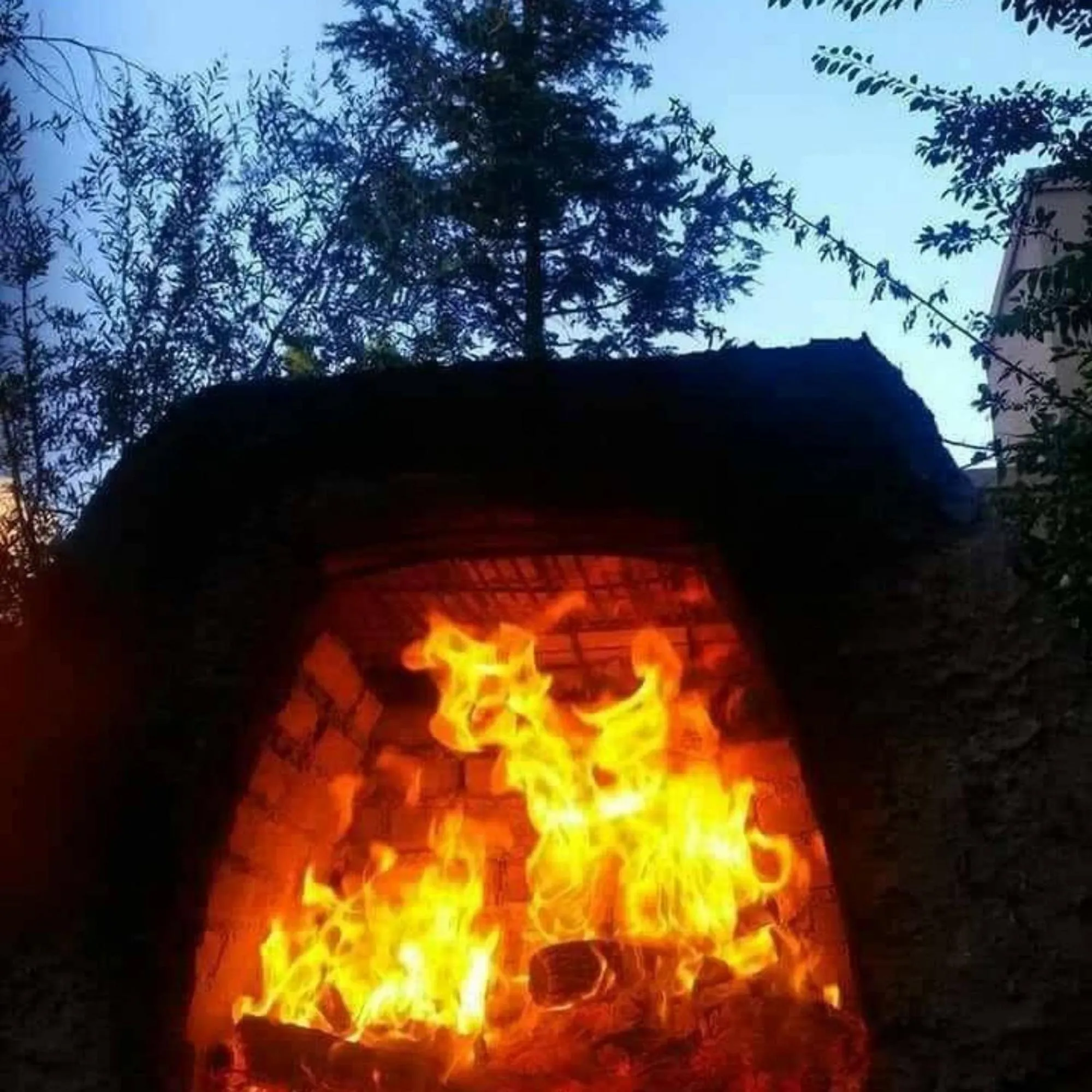 Natural landscape in Holiday Home Mendoza Leisure Time