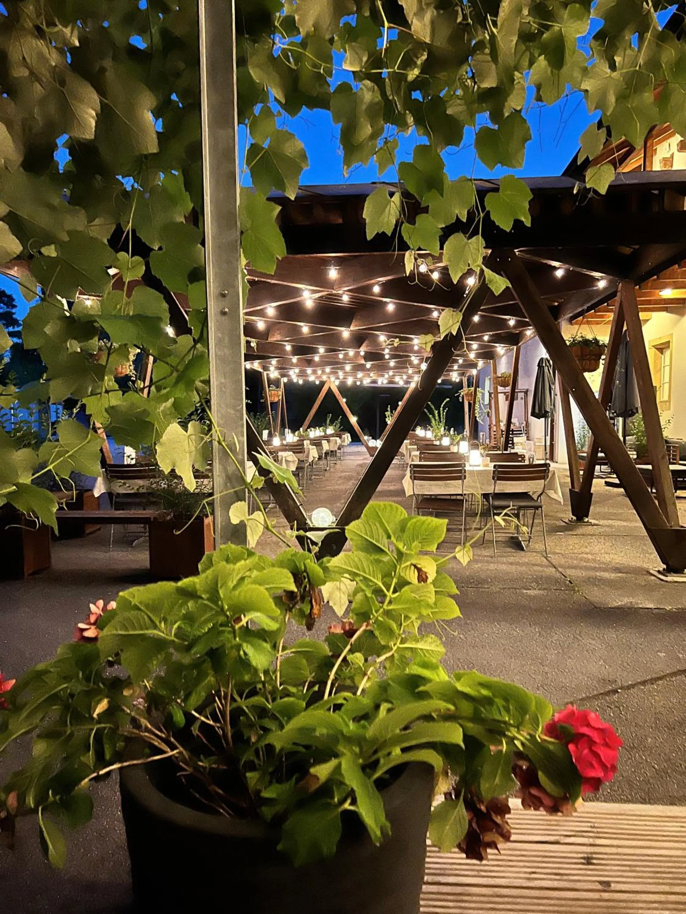 Patio in Hôtel Domaine de la Sauge