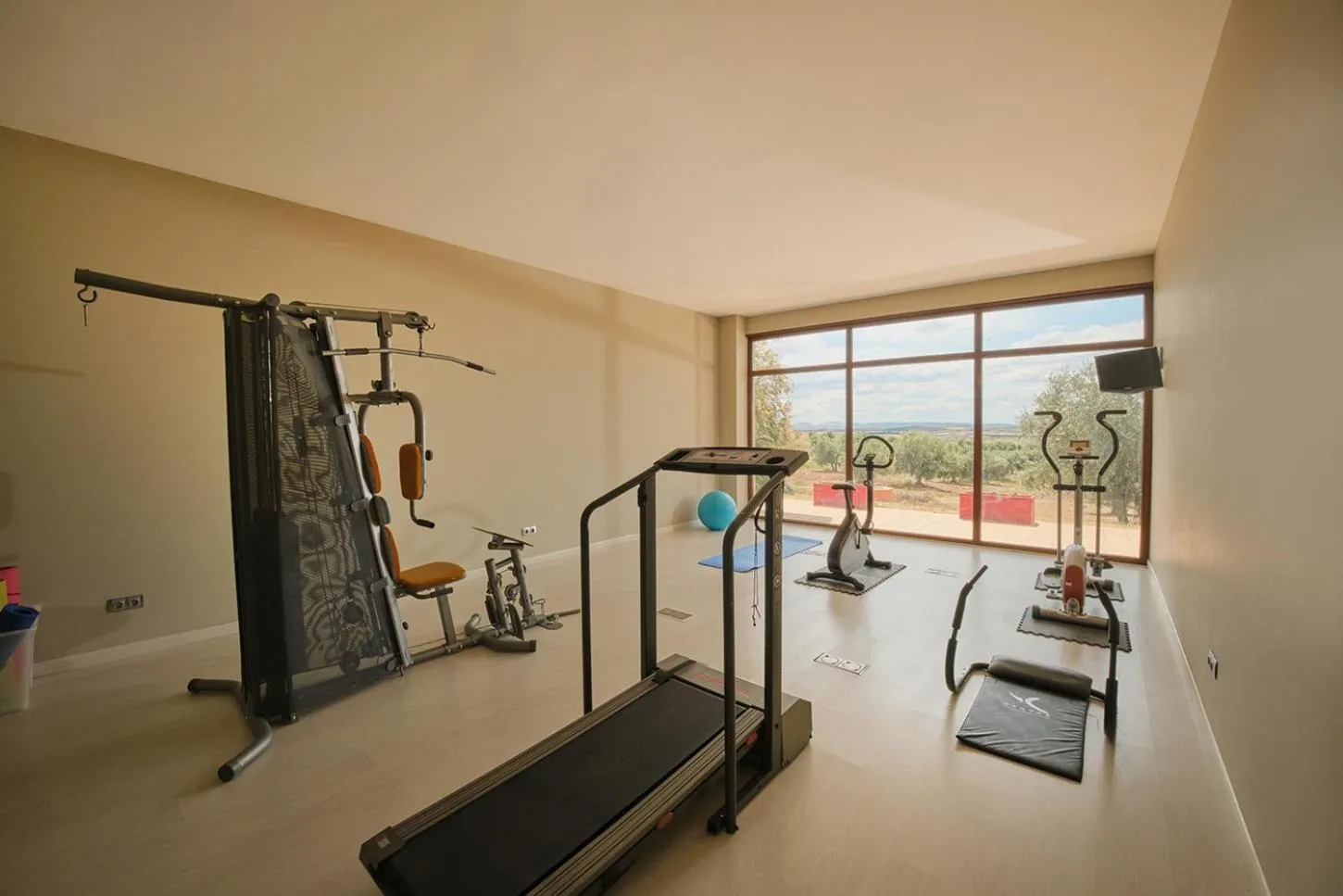 Fitness centre/facilities in Hotel Spa Villa Nazules