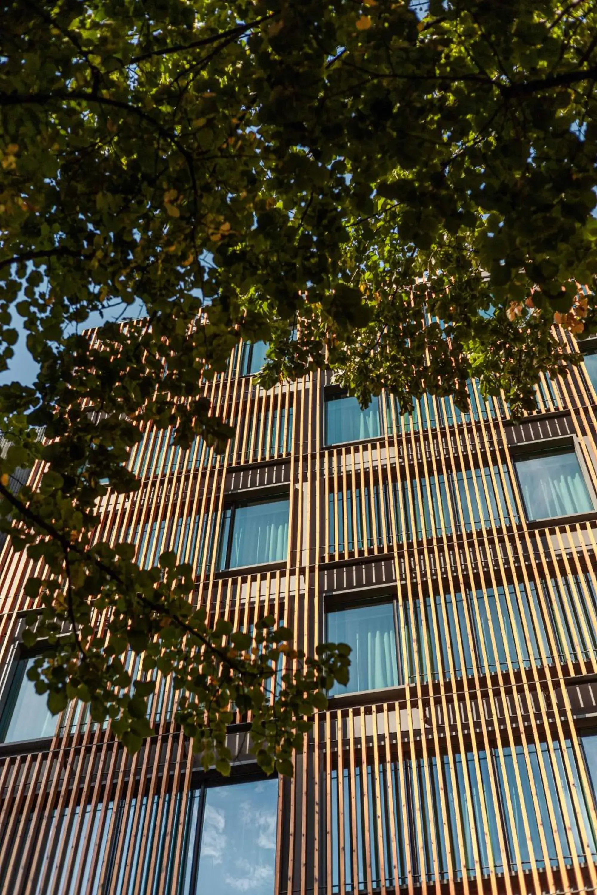 Property building in LUSTER Hotel Property building in LUSTER Hotel