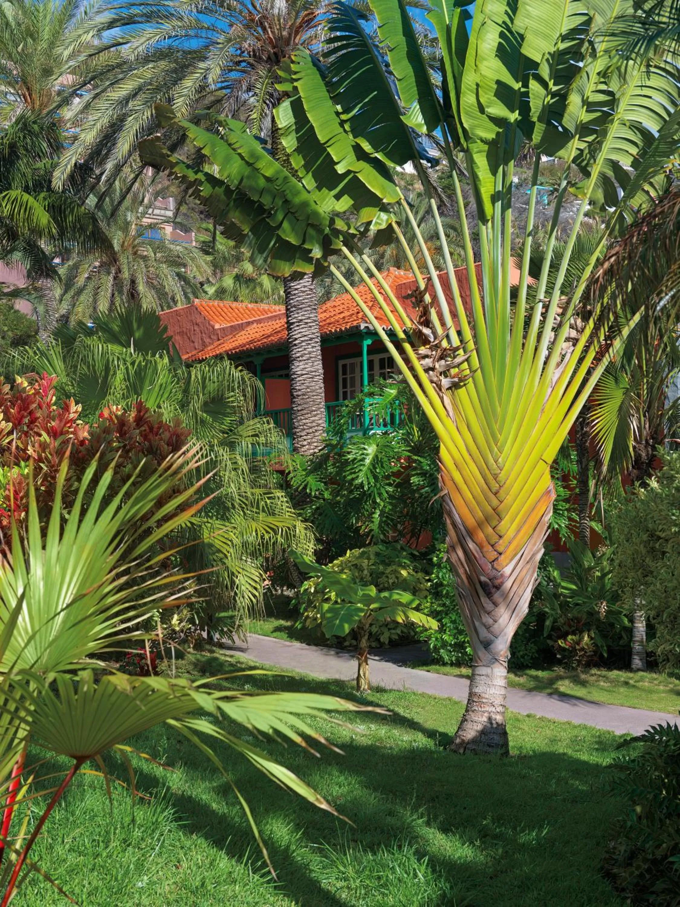 Garden in Hacienda San Jorge