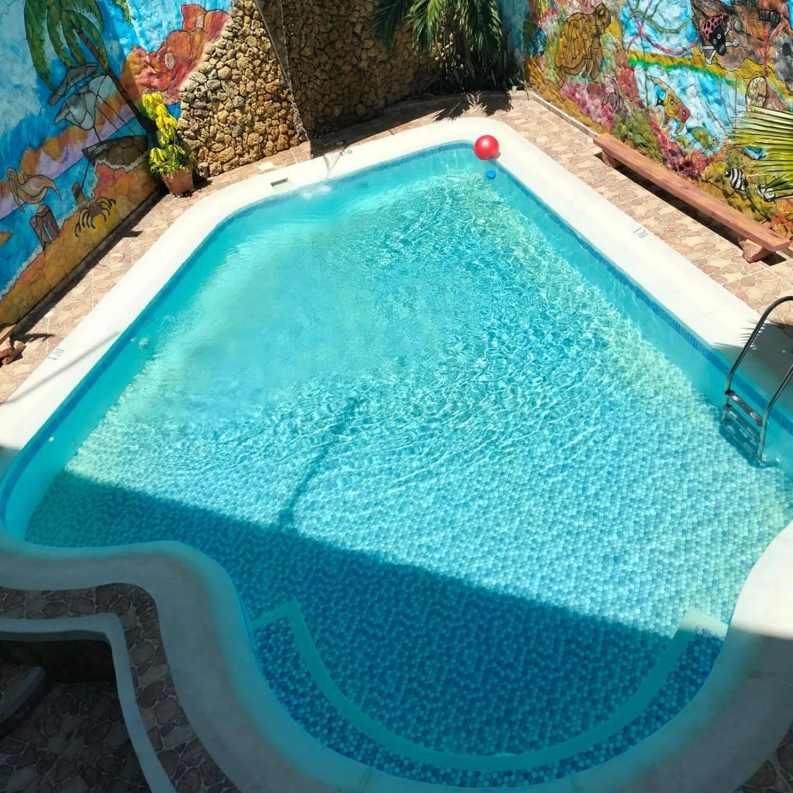 Swimming pool in Hotel Plaza Confort Inn