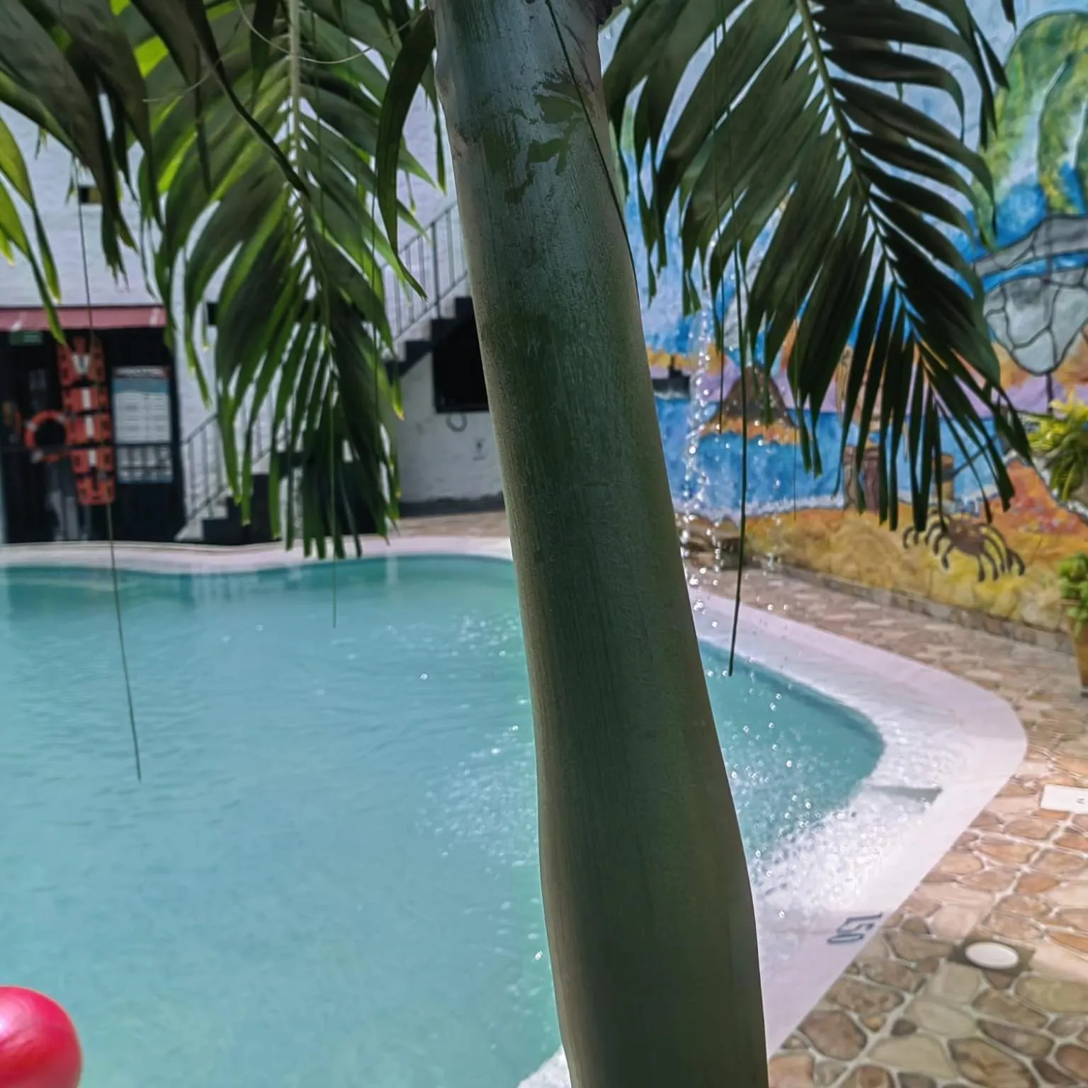 Hotel Plaza Confort Inn