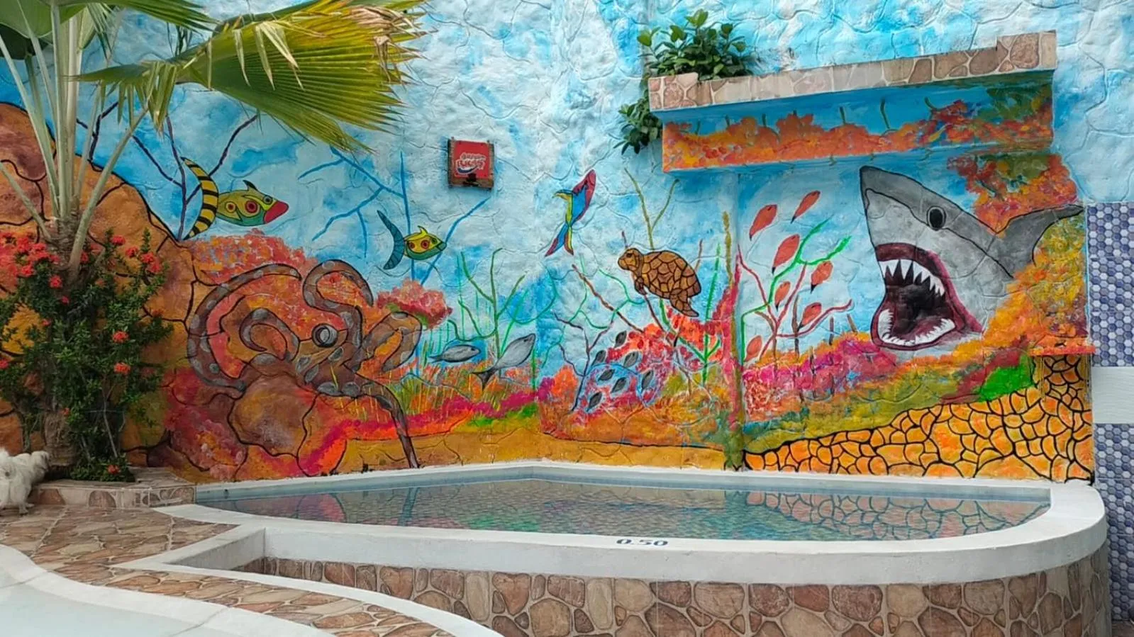 Swimming pool in Hotel Plaza Confort Inn