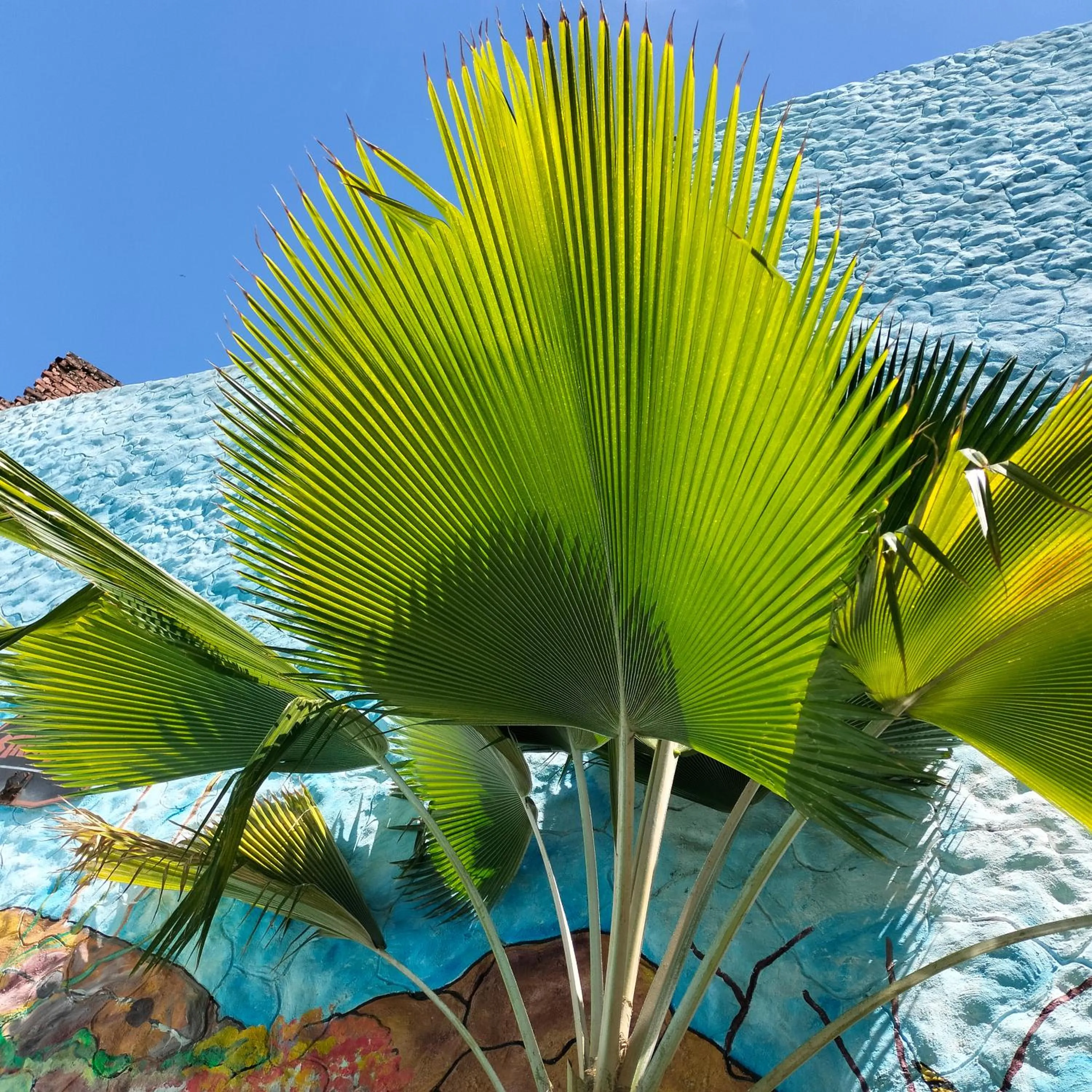 Hotel Plaza Confort Inn