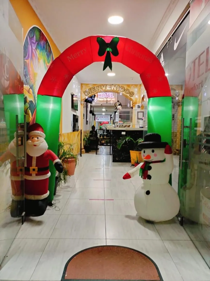Hotel Plaza Confort Inn