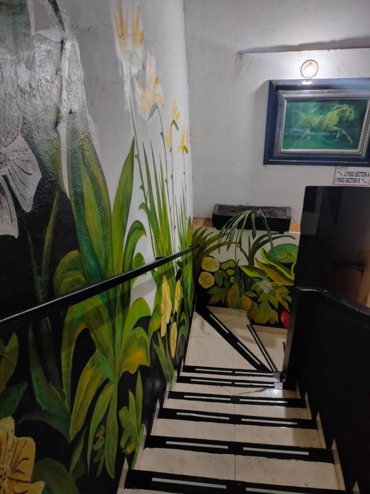 Hotel Plaza Confort Inn