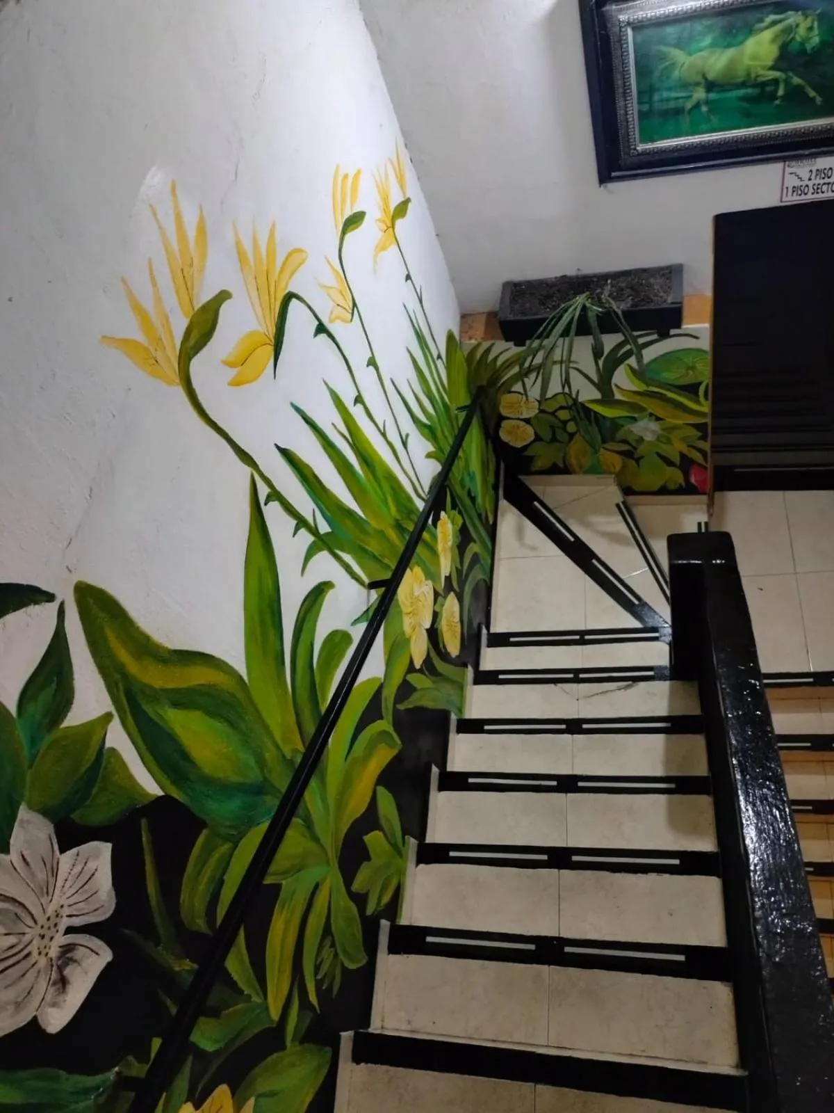Hotel Plaza Confort Inn