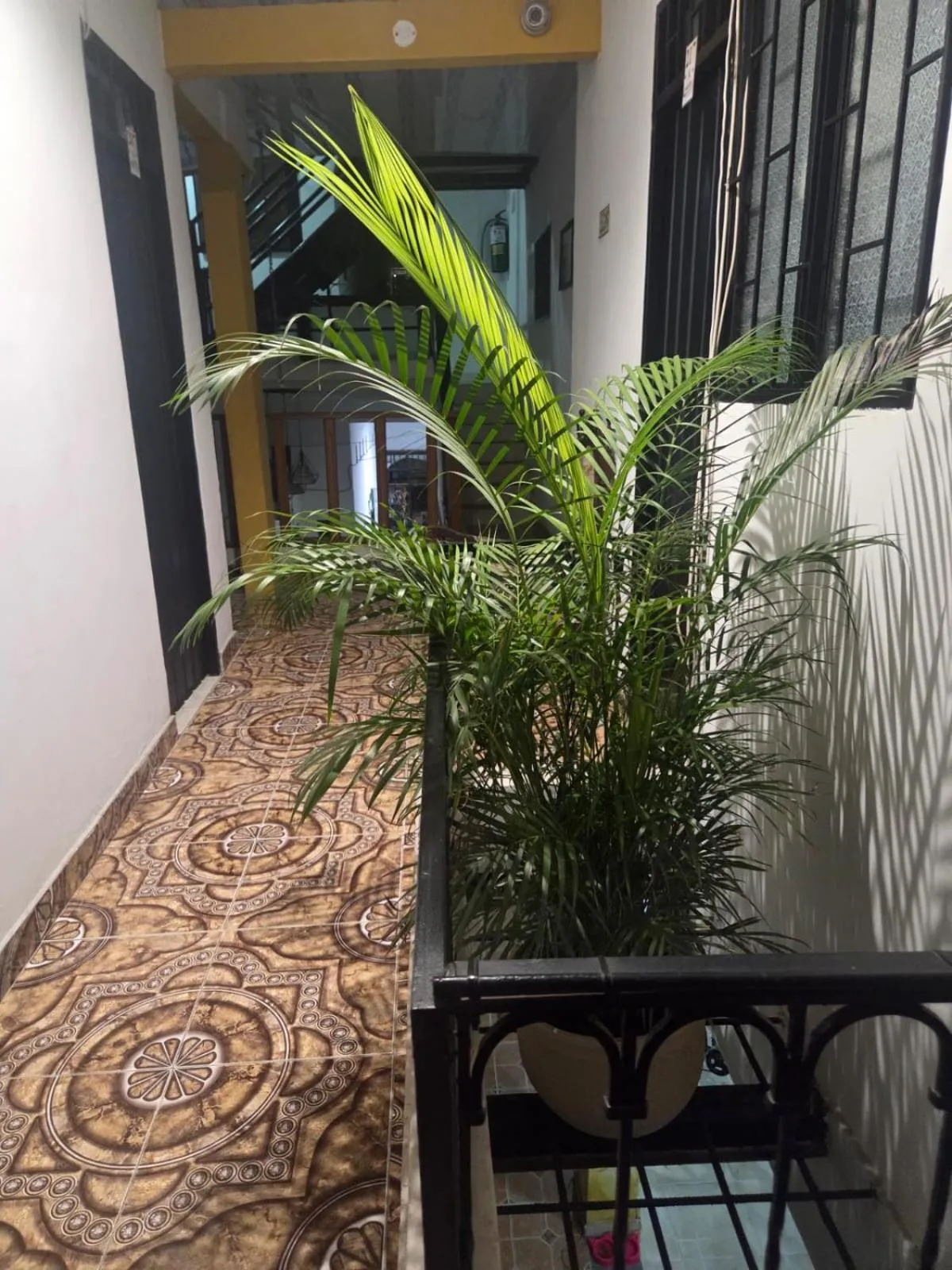 Hotel Plaza Confort Inn